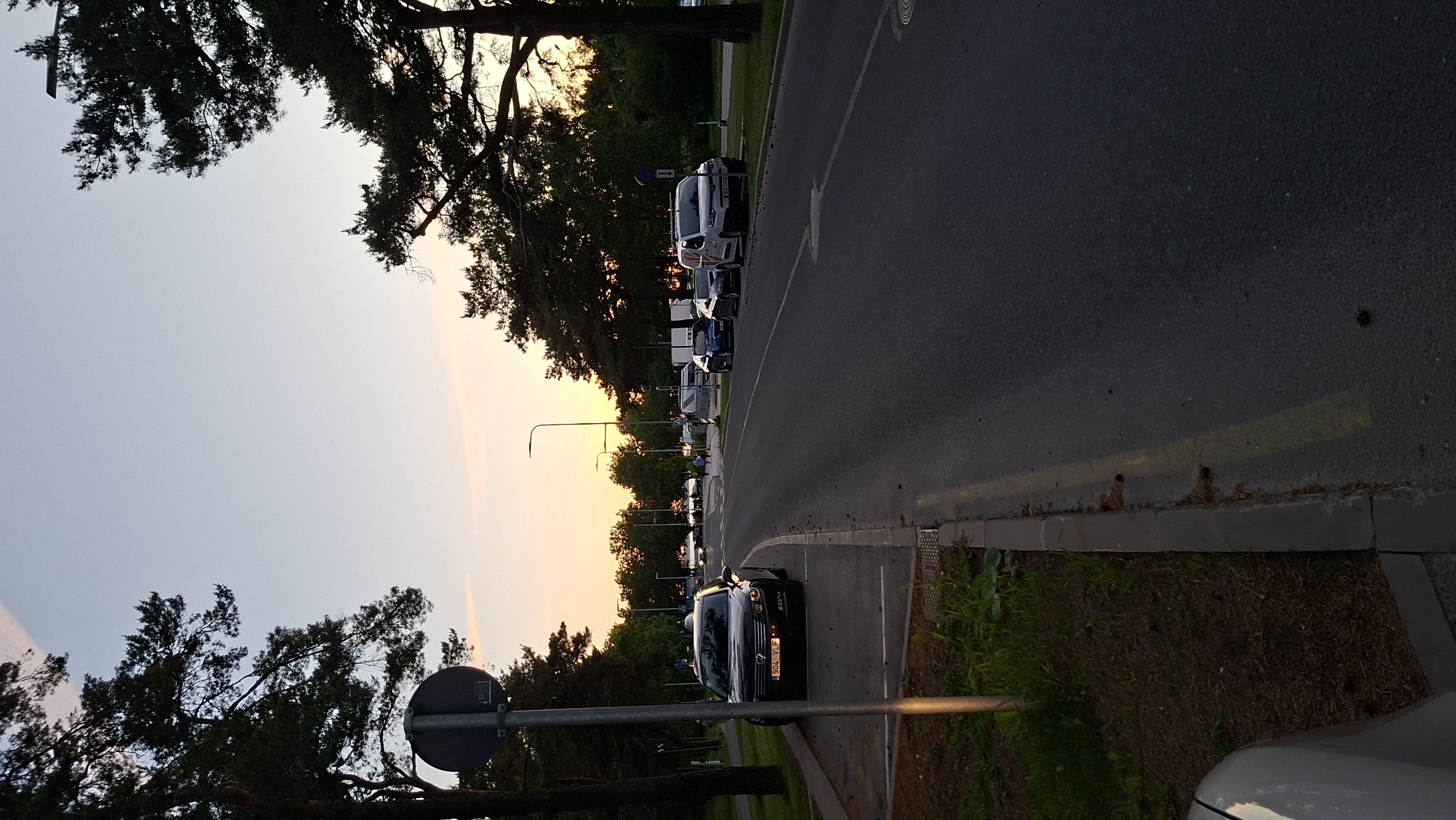 The image depicts a street scene in Tallinn, Estonia, during sunset. The sky is a pale orange and pink gradient, with silhouetted pine trees framing the view. A paved road runs through the center of the image, with cars parked along the side. On the left, a dark sedan with license plate "904 VLF" is parked. Further down the road, a white van is visible, and other vehicles are parked or driving in the distance. Several streetlights are illuminated, casting a soft glow. The area appears to be a suburban or park-like setting, with grass and trees lining the road. There are a few pedestrians walking in the distance. The overall atmosphere is peaceful and serene.