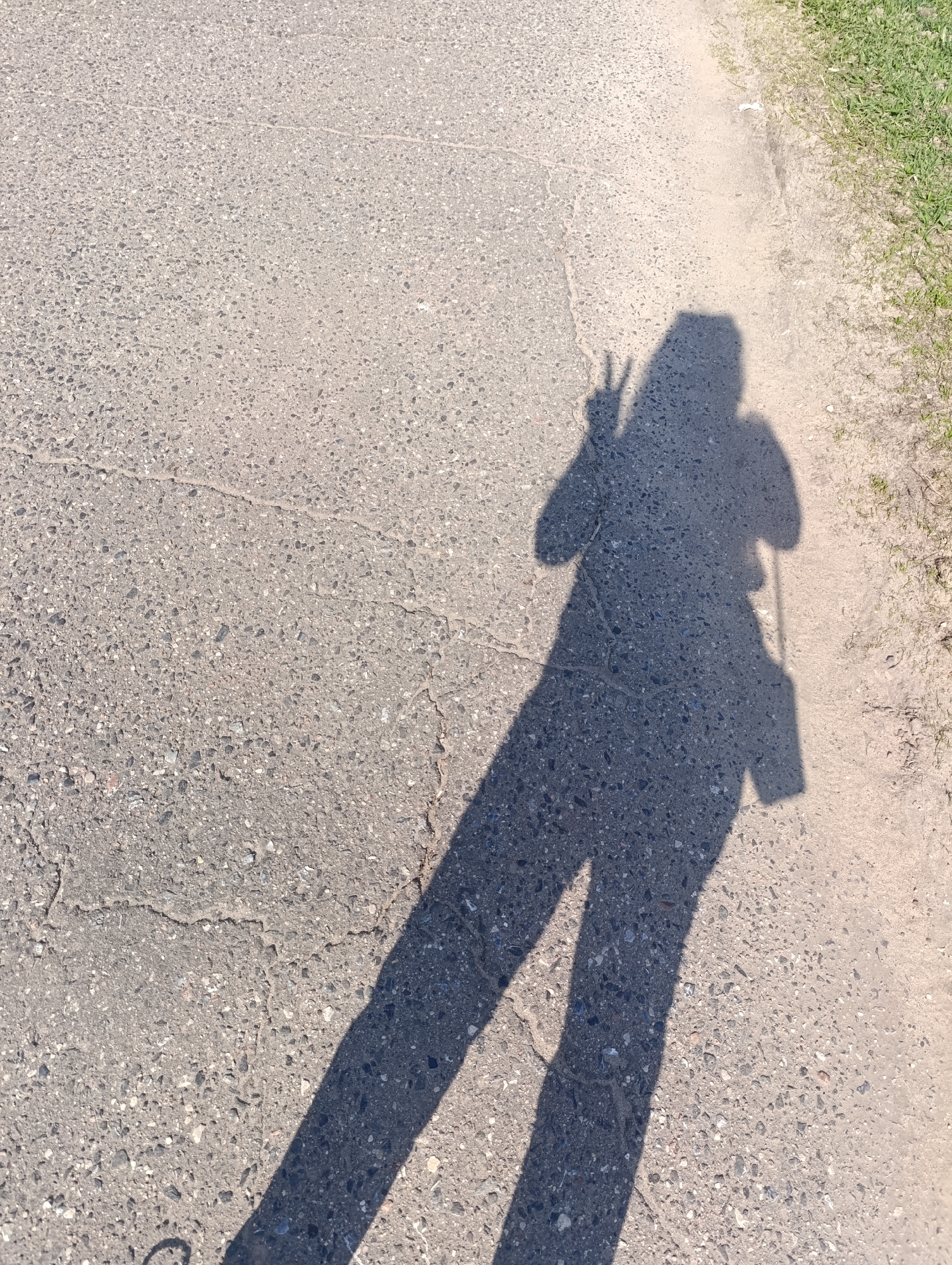 A shadow of a person is cast onto an asphalt surface. The shadow depicts a person making a peace sign with one hand, and a purse or bag hanging from their shoulder. The asphalt is textured, and there are cracks visible. A narrow strip of dirt and grass runs along the edge of the asphalt surface.