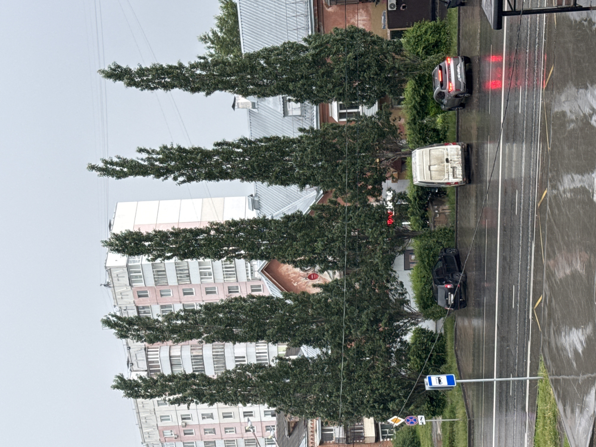 The image, taken from an elevated perspective, depicts a rainy or recently rained-on street scene in Perm, Russia, likely during daytime under an overcast sky. The asphalt road is visibly wet, reflecting light and vehicle brake lights.
Vehicles are present on the road, heading away from the viewer. In the middle lane, a white panel van is stopped. In the left lane, a dark gray SUV has its red brake lights illuminated, casting a glow on the wet surface. A black SUV is parked on the right shoulder. Road markings, including a double solid yellow line and white dashed lines, are visible.
Dense green trees with tall, slender trunks line both sides of the street. Behind the trees on the right, several buildings with pitched gray roofs and reddish-brown facades are visible, some with air conditioning units mounted externally. On the left, a tall, multi-story residential building stands prominently, featuring numerous windows, balconies, and light-colored (white and pinkish) facade panels. The sky above is uniformly overcast and light gray.
Overhead, thin wires or power lines crisscross the frame. On the right side of the road, a blue and white bus stop sign is clearly visible, along with other road signs, including one that resembles a "No Stopping" sign. The scene captures a moment of urban traffic in moderately inclement weather. No people are discernible. No legible text is visible on signs or vehicles.