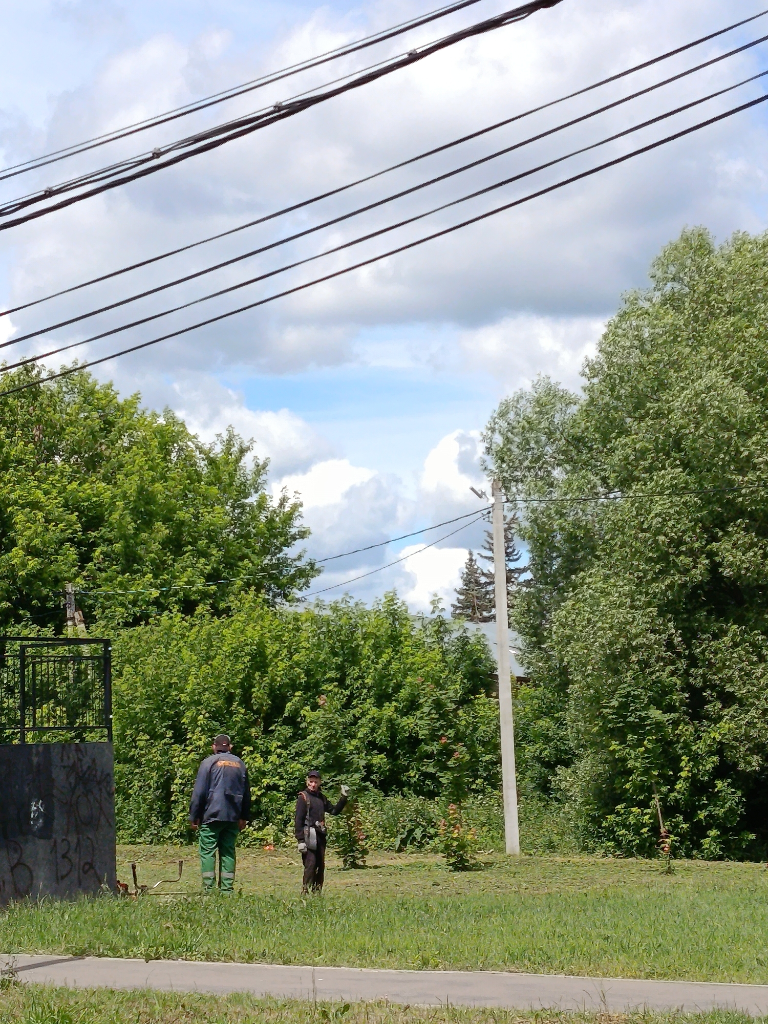 The image depicts an outdoor scene with two individuals in a grassy area bordered by dense green foliage and trees. In the foreground, a paved pathway runs horizontally across the bottom. Two individuals are visible in the middle ground. One, wearing a dark jacket and green pants, stands facing away from the camera, looking towards the right. The other individual, dressed in dark clothing and a cap, faces the camera and appears to be gesturing with their right hand. Behind the figures, a tall, light-colored utility pole stands to the right. Overhead, multiple dark power lines crisscross the frame against a backdrop of a partly cloudy sky. To the far left, a section of a black fence with a metal grate is visible, adjacent to a dark, graffiti-covered wall. The environment suggests a park or public space within the city of Vereya, Russia, possibly during daylight hours given the lighting.