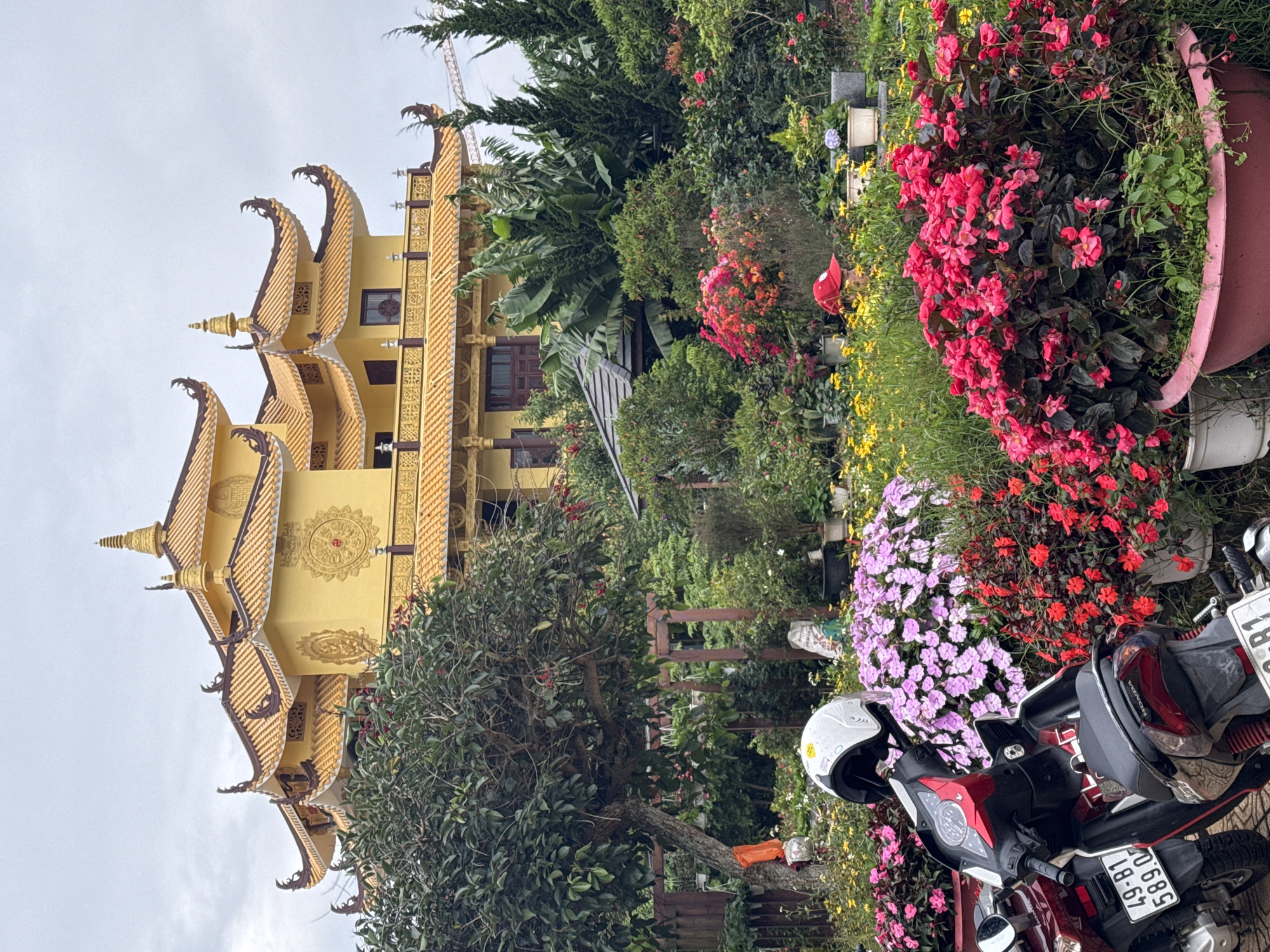 A Buddhist temple with a golden roof is visible in the background, surrounded by lush greenery and vibrant flowers. In the foreground, two motorcycles are parked, one with a white helmet placed on its seat. A person wearing a red cap is partially visible amidst the flower beds. The scene appears to be set in a garden or park within the city of Da Lat, Vietnam, known for its flower farms and French colonial architecture. The sky is overcast, suggesting a cloudy day.