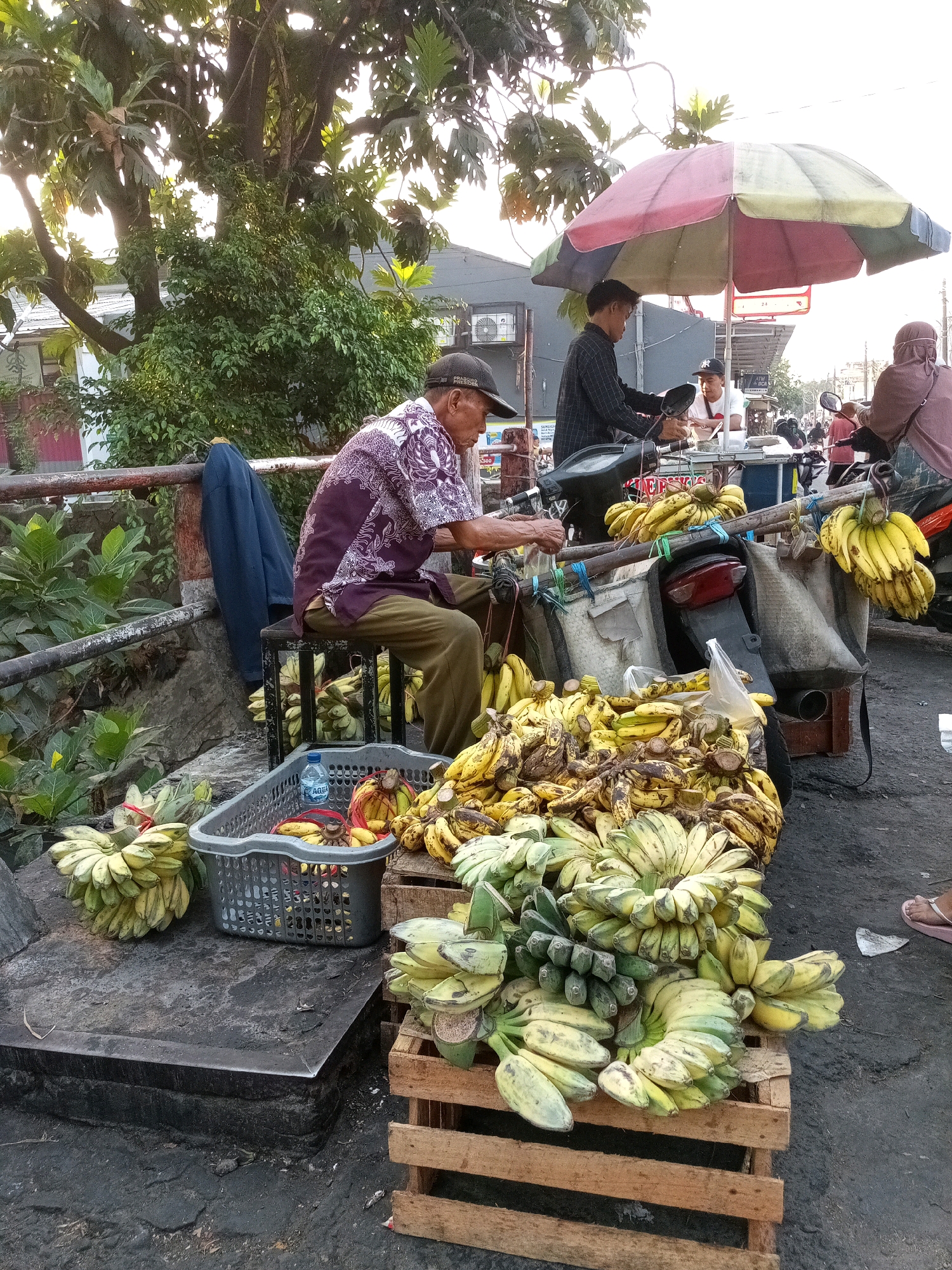 An elderly Indonesian man, wearing a patterned short-sleeved shirt and khaki pants, sits on a stool next to a large pile of bananas. He is in the process of sorting or preparing the fruit. The scene appears to be a street-side market in Bekasi, Indonesia, suggested by the overall context and typical street vending scenes in the region.
The man is the central figure in the foreground, positioned on the left side of the frame. His left hand is holding a bunch of bananas, and his right hand is engaged with the fruit. Next to him, a grey plastic basket holds more bananas, with a bottle of water visible inside. Several wooden crates are stacked around him, overflowing with ripe bananas in various stages of ripeness. Some bananas are bright yellow, while others show brown spots.
In the background, two younger men are visible, one wearing a black checkered shirt and the other a white t-shirt and black cap. They are standing near a motorcycle, with a colorful umbrella providing shade above them. This suggests a stall or a mobile vending setup. Other people, including a woman wearing a headscarf, can be seen further down the street, along with motorcycles and other vehicles, indicating a busy urban environment.
The environment is outdoors, with lush green foliage from trees and plants visible on the left side of the image. The ground is dark and appears to be asphalt or a similar paved surface, with some debris scattered around. The lighting suggests it is either early morning or late afternoon, with soft sunlight filtering through the trees. The overall impression is one of a bustling local market scene, where fresh produce is being sold from roadside stalls.