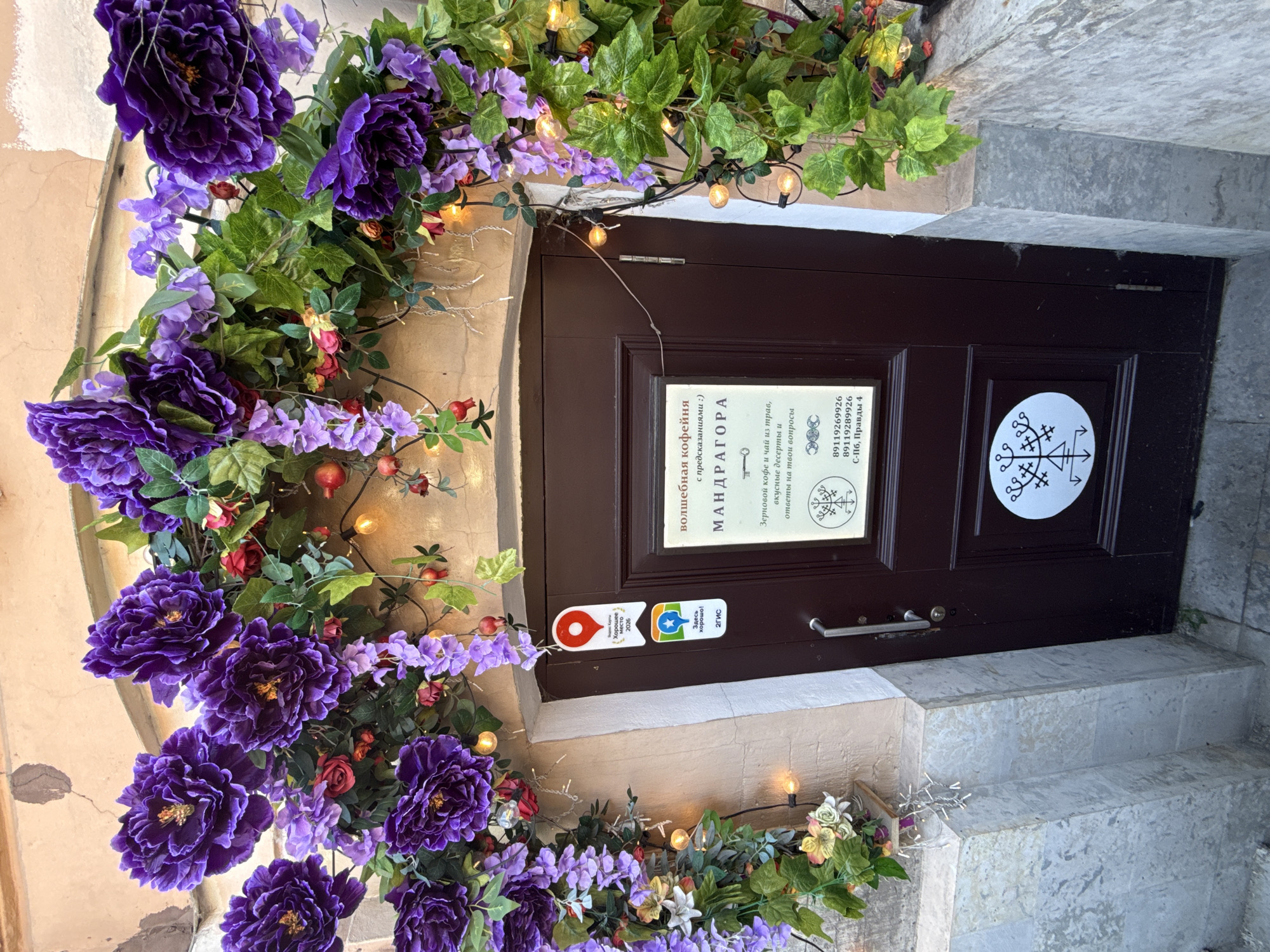 The image shows a dark brown door of a building in Saint Petersburg, Russia, decorated with a floral archway and string lights. The archway is made of artificial purple peonies, red roses, and green foliage. Small, warm-toned LED lights are strung throughout the floral arrangement. On the door, there is a sign that reads "волшебная кофейня с предсказаниями :) МАНДРАГОРА" (magical coffee house with predictions :) MANDRAGORA). Below this, there are details about coffee, tea, desserts, and answers to questions. Two phone numbers and an address, "С-Пб, Правды 4" (Saint Petersburg, Pravdy Street 4), are also listed. Below the sign, there is a circular sticker with a stylized symbol. To the left of the door, there are two stickers, one red with a white pin icon and text in Russian, and another smaller sticker with a blue and green icon. The building's facade appears to be made of light-colored stone and stucco. The foreground shows a textured stone walkway.