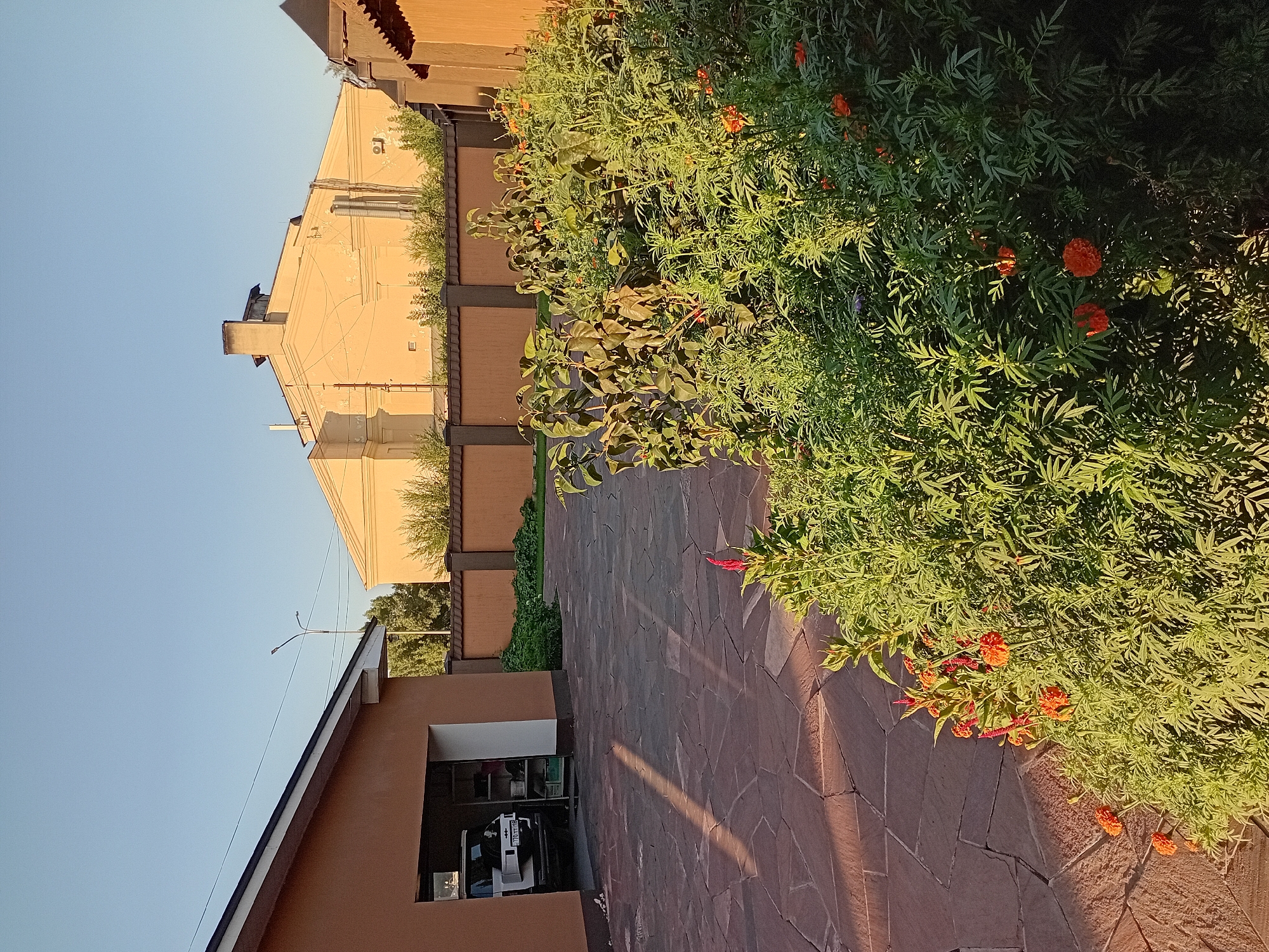 The image shows a sunny courtyard with a paved area made of irregular stone slabs. To the left, there is an open garage with a white SUV inside. A portion of a building with a brown exterior wall and a white trim is visible. Beyond the garage, a tall, light yellow building with a distinctive roofline and a chimney is visible. A brown fence with posts runs across the background. In the foreground and to the right, a lush garden with green foliage and bright orange flowers is prominent. The sky is clear and blue. The scene appears to be a residential or commercial property in Semey, Kazakhstan.