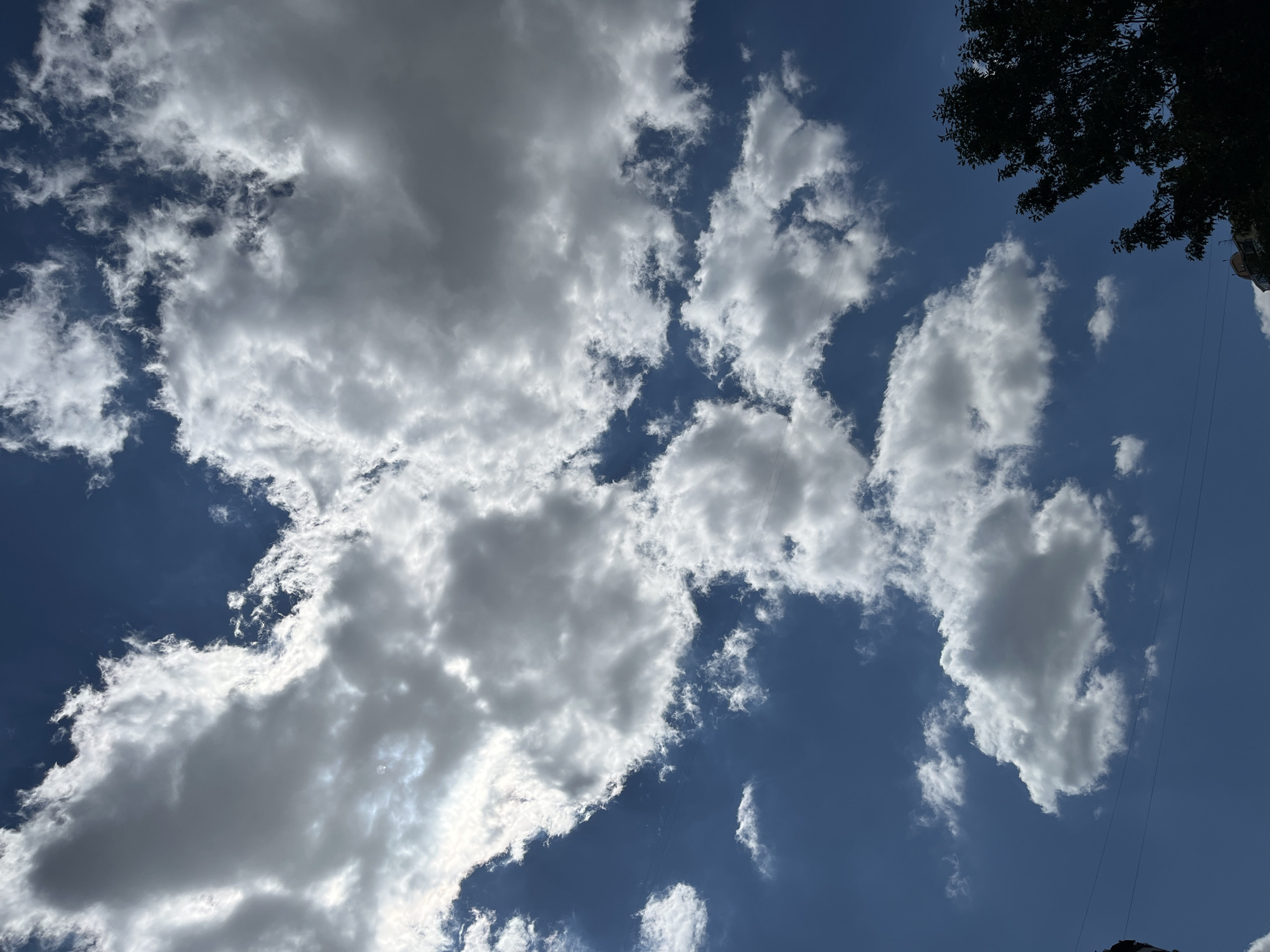 A wide shot captures a bright, blue sky dotted with white and gray clouds. The clouds vary in size and density, with some appearing puffy and others thin and wispy. In the lower right corner, the dark silhouette of a tree with dense foliage partially obscures the sky. Faint, thin black lines, possibly power lines, stretch horizontally across the lower portion of the image. The upper left portion of the sky shows a brighter, more diffused light, suggesting the sun is behind the clouds in that area. The bottom left of the image shows the top of a building.