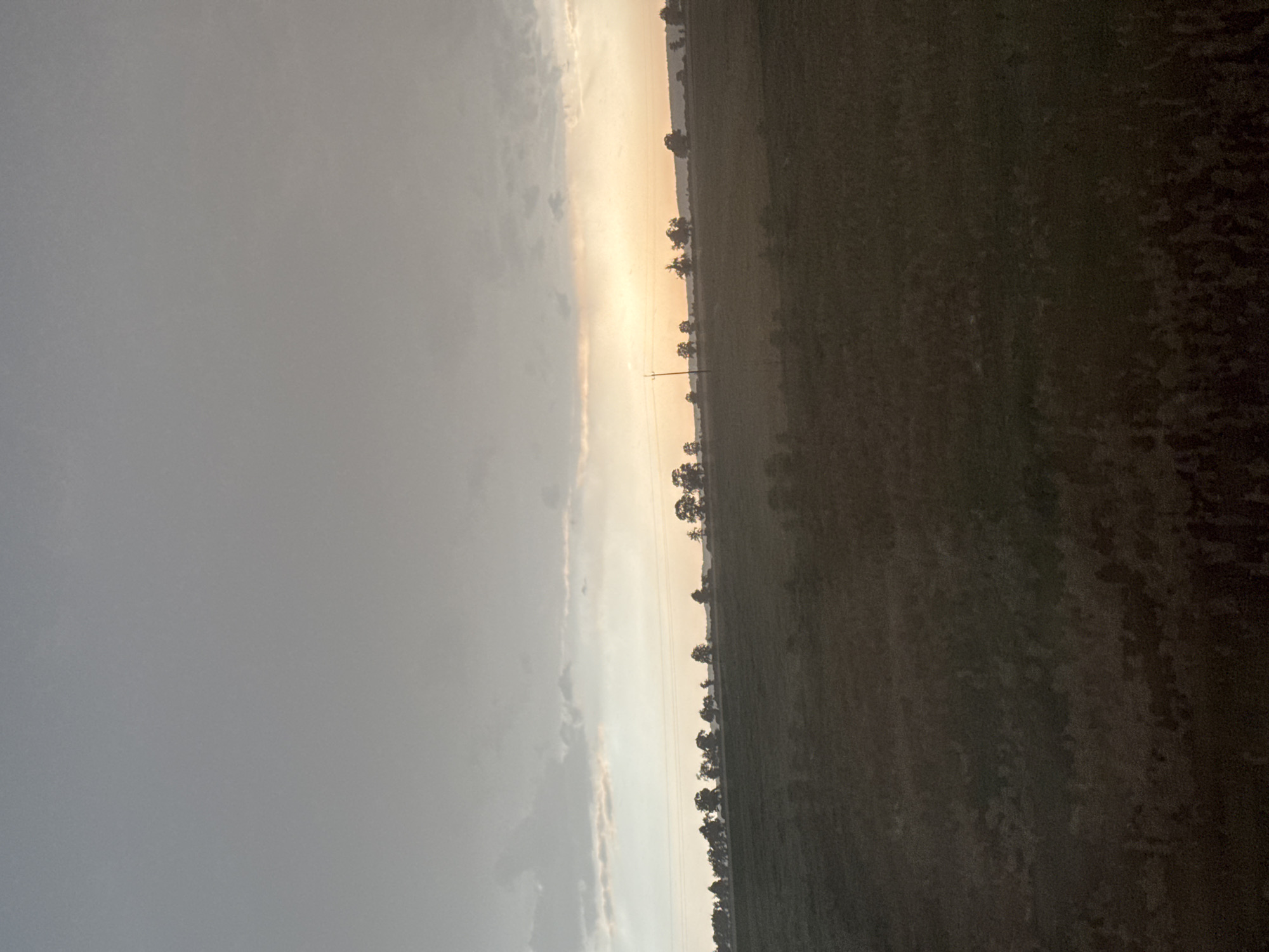 The image depicts an overcast sky above a rural landscape. A line of trees is silhouetted against a bright horizon where the sun appears to be setting or rising. In the foreground, a dark field, possibly farmland, stretches towards the horizon. The scene suggests a natural environment, likely outside of a dense urban area. The location is Grodzisk Wielkopolski, Poland, implying a European rural setting.