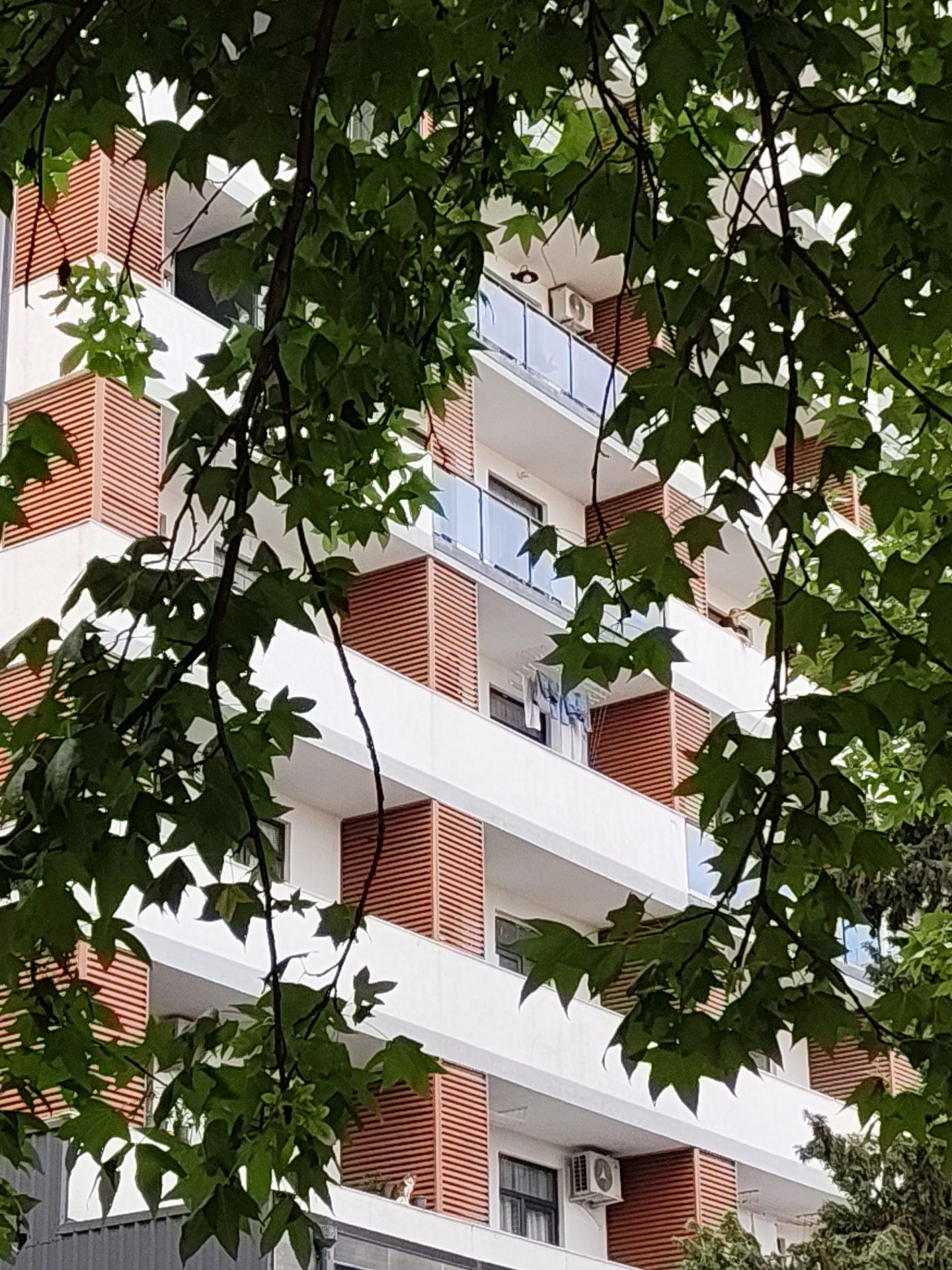 The image shows the facade of a modern apartment building in Batumi, Georgia, partially obscured by the lush green foliage of a tree in the foreground. The building features white exterior walls and multiple balconies with glass railings. Some balconies have wooden louvers, adding a warm contrast to the white structure. An air conditioning unit is visible on one of the balconies. The overall scene suggests a sunny day, with bright lighting and the natural elements of the tree framing the urban architecture. There are no people clearly visible in the frame, but some laundry is hanging on a clothesline on one of the balconies.