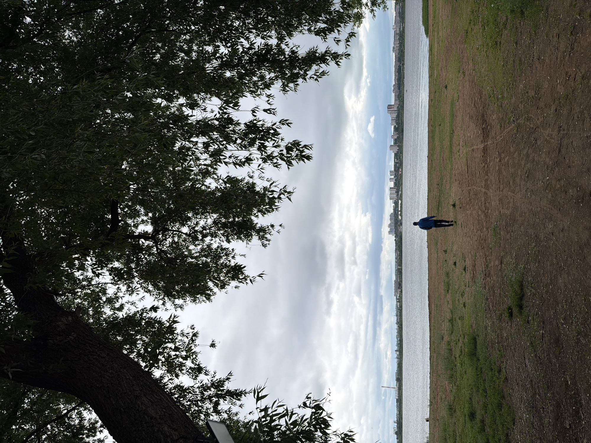 The image depicts a scene from the city of Izhevsk, Russia, likely along the shore of the Izhevsk Pond or Reservoir, viewed on an overcast day.
The foreground is characterized by a reddish-brown dirt path, worn through an area with sparse green grass, extending from the viewer towards a body of water. A large tree, possibly a willow, with a thick, dark, textured trunk and branches, frames the upper left portion of the image. Its dark green, elongated leaves hang down, obscuring parts of the sky and framing the upper edges of the scene.
A single individual, seen from behind, walks along the dirt path, heading directly towards the water. The person is wearing a dark blue jacket and dark trousers. To the left of the path, near the water's edge, an indistinct, dark, low-lying object is visible on the ground.
The mid-ground features a broad expanse of calm, grey water. The distant bank reveals an urban landscape. On the far left horizon, a tall, slender industrial chimney, light in color, stands prominently. To its right, a series of multi-story buildings, consistent with residential or commercial architecture, forms a skyline against the cloudy backdrop. A small, dark, indistinct object is present on the water, appearing as a distant boat or similar craft.
The sky is entirely overcast, dominated by varying shades of grey and white clouds, indicating a lack of direct sunlight.