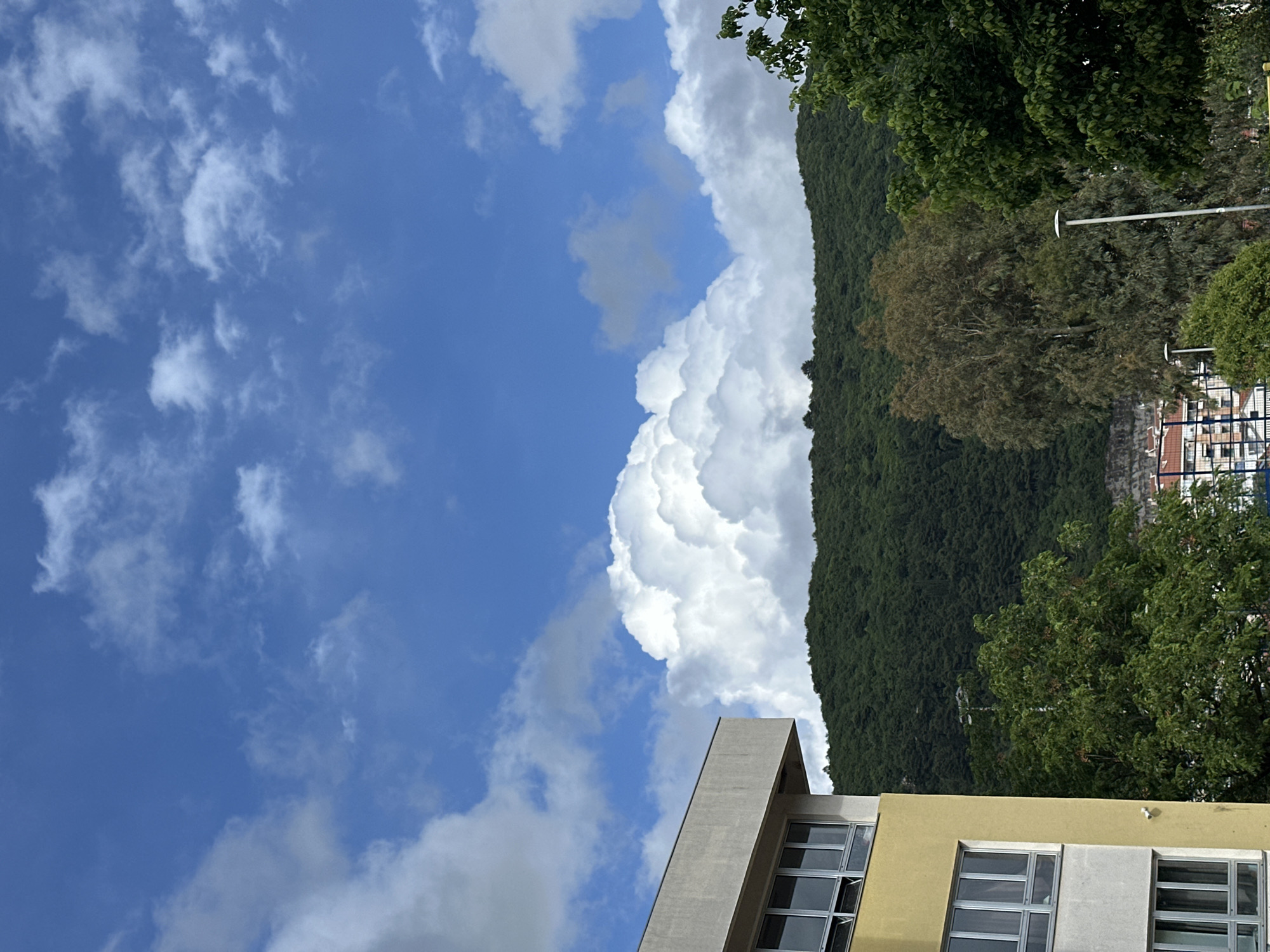 The image captures a scene in Donji Pobori, Montenegro. A predominantly blue sky with scattered white clouds fills the upper left quadrant. A large, dense mass of trees and foliage covers the central and upper right portion, suggesting a hillside or mountain. Part of a multi-story building is visible in the lower right corner, with yellow and white walls and multiple windows. A utility pole is also present amidst the trees, implying the presence of infrastructure.