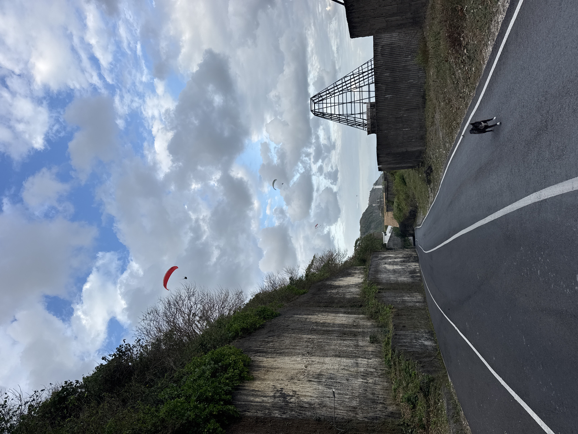 The image depicts a coastal road in Kuta Selatan, Indonesia, with a sheer, rocky cliff face covered in vegetation on the left and a concrete wall with a geometric structure on the right. The road is paved and marked with white lines. A black and white dog is running on the road in the foreground. In the sky, there are several paragliders, indicating an activity popular in the area. The sky is partly cloudy with patches of blue. The overall atmosphere suggests a scenic and active outdoor location.
