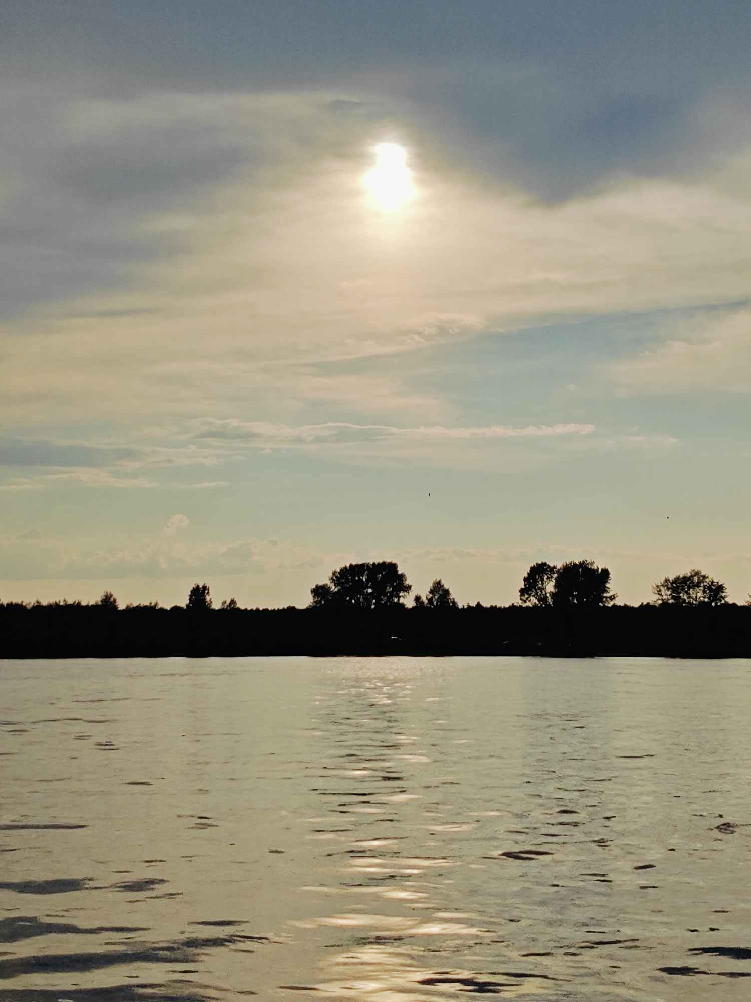 The image depicts a serene sunset over the Kama River in Chaikovsky, Russia. The sun, a bright, hazy orb, is partially obscured by clouds in the upper half of the frame, casting a soft, golden light. The sky transitions from a pale blue at the top to lighter hues near the horizon, with streaks of clouds reflecting the sunset's glow. A dark, silhouetted line of trees and foliage stretches across the middle ground, marking the riverbank. The foreground is dominated by the calm surface of the Kama River, with gentle ripples reflecting the sky's colors and the sun's light. The overall scene is one of natural beauty and tranquility.