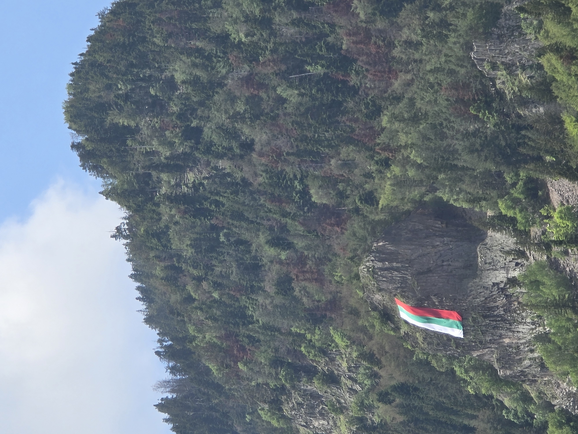 The image displays a majestic, heavily forested mountain or cliff face under a bright, clear blue sky with sparse white clouds. The dominant feature is the dense covering of green trees and vegetation that blankets the mountain slopes, with some areas showing variations in foliage color. On the right side of the mountain, a rugged, grey rock face is prominent.
Affixed to this rock face, in the lower right section of the image, a flag is proudly displayed. The flag consists of three horizontal stripes: red at the top, green in the middle, and white at the bottom. It appears to be unfurled, likely fluttering in the wind, standing out against the natural backdrop.
The scene conveys a sense of serene natural beauty, characteristic of a mountainous or hilly region. The lighting suggests it is daytime, with good visibility. There are no people visible, and the only human-made object is the flag. No discernible text is present in the image.