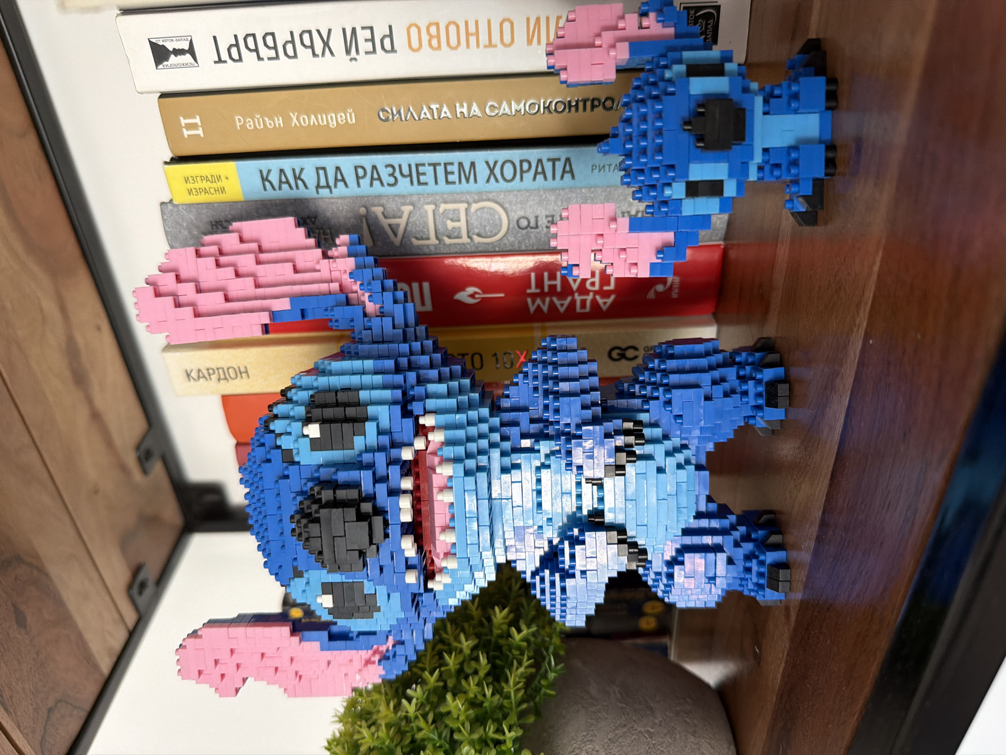 An indoor scene captured from an elevated perspective shows two figures resembling Stitch from Disney's "Lilo & Stitch," constructed from nano-blocks, positioned on a bookshelf. The image is rotated 90 degrees clockwise.
In the foreground, a larger Stitch figure is prominently displayed, meticulously built with blue, light blue, pink, black, and white blocks. It features an open mouth, revealing a pink interior and small white block teeth, giving it an expressive, playful appearance. Behind it and slightly to the right, a smaller, less detailed Stitch figure is visible, also made of blue and pink blocks, possibly representing a younger version or a companion. Both figures are static decorative objects.
They rest on a stack of books, which form the background of the image. The books are mostly in Bulgarian, identifiable by the Cyrillic script. Visible titles and authors include:
- A white-spined book with "ПСИХОЛОГИЯ ОТ ИЗТОК-ЗАПАД" (Psychology from East-West) and "РЕЙ ХЪРБЪРТ ДАЛИ ОТНОВО" (Ray Herbert Dali Again).
- A beige-spined book, "II Райън Холидей СИЛАТА НА САМОКОНТРОЛА" (II Ryan Holiday, The Power of Self-Control).
- A light blue and yellow-spined book, "КАК ДА РАЗЧЕТЕМ ХОРАТА" (How to Read People) by "РИТА" (Rita), with additional text "ИЗГРАДИ + ИЗРАСНИ" (Build + Grow).
- A grey-spined book with reversed text "АДАМ ГРАНТ" (Adam Grant) and "ПО СЕГА!" (By Now!).
- A red-spined book also showing "АДАМ ГРАНТ" (Adam Grant) and partially "КАРДОН" (Cardone).
At the bottom left, a small artificial green plant, possibly a succulent, in a grey pot is partially visible. The figures and books are placed on a light-colored surface, presumably a shelf, with a dark wooden background and metal brackets on the left, indicating a shelving unit. The lighting suggests an indoor setting, likely a home or office. The Cyrillic text on the books is consistent with the provided location context of Plovdiv, Bulgaria.