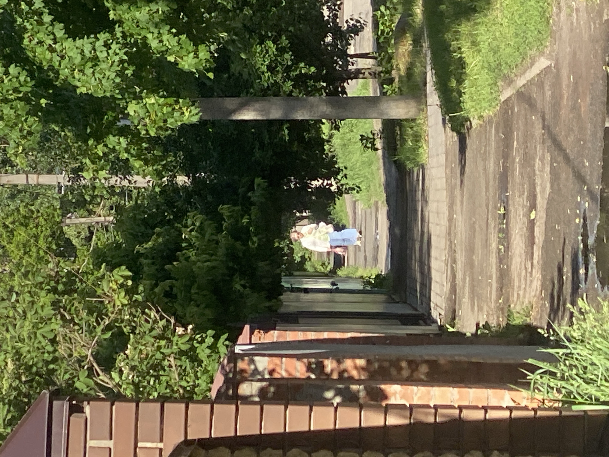 The scene is an outdoor view along a narrow pedestrian pathway, likely within the city of Poltava, Ukraine. The pathway, composed of light-colored paving stones, stretches into the distance, flanked by greenery including trees and grass. The path is bordered by a brick wall on the lower part of the image. A pole cuts across the image from left to right and appears to be partially obscured by the lush green foliage. A person or a pair of people are seen in the distance walking on the path. The lighting in the image suggests daylight conditions, with areas of sunlight interspersed with shade.