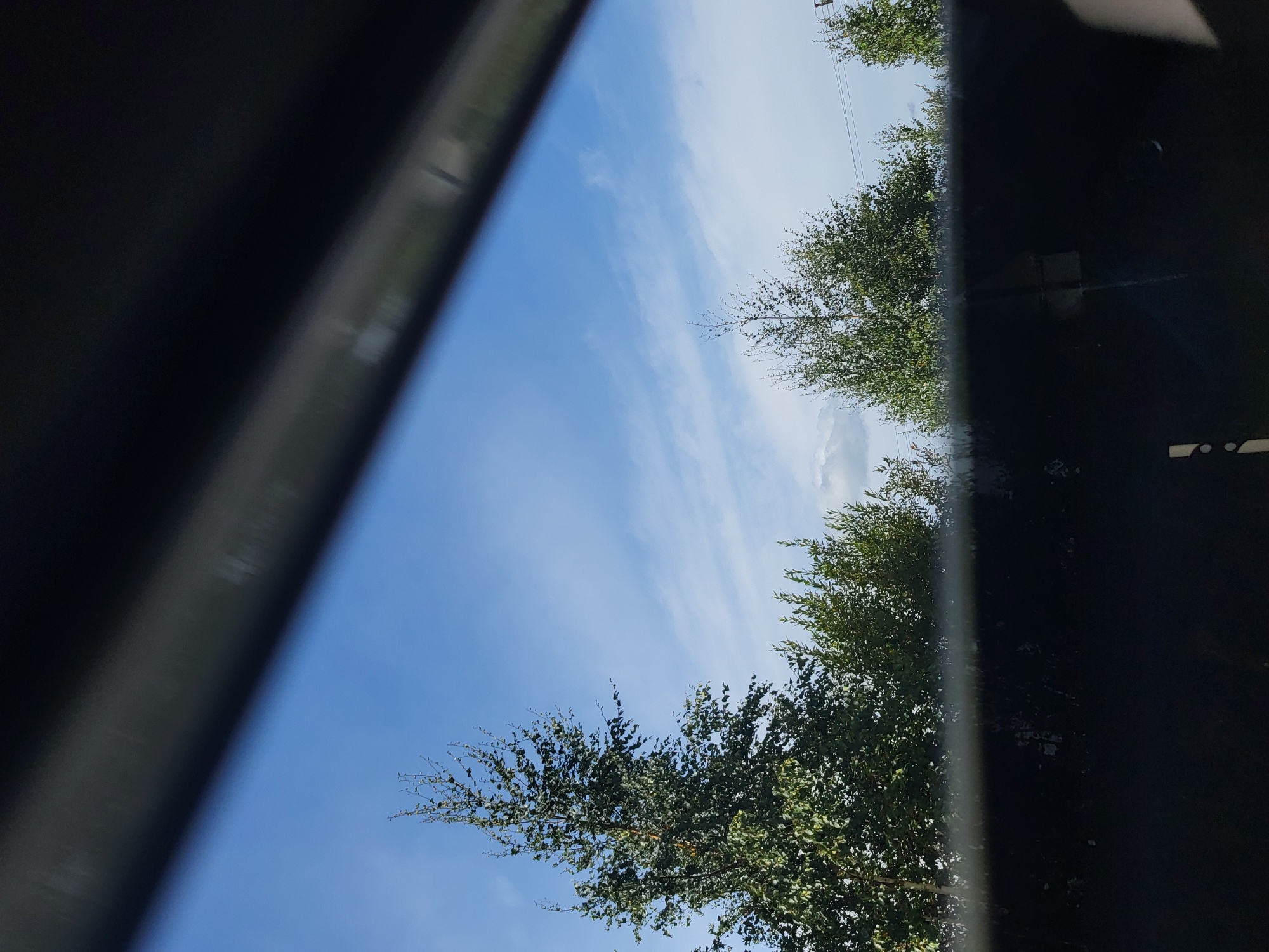 The image captures a view of the sky and trees through a dark, blurry foreground, possibly a window or opening. The sky is a bright blue with wispy white clouds. Several tall, green trees with leafy canopies are visible against the sky. The lower portion of the image is dominated by the dark, out-of-focus foreground, which obscures the ground and any potential details there. The scene suggests an outdoor environment, possibly a park or a residential area, given the presence of trees. There are no people or specific man-made structures clearly identifiable in the frame beyond the faint outline of what might be a utility pole in the distance.