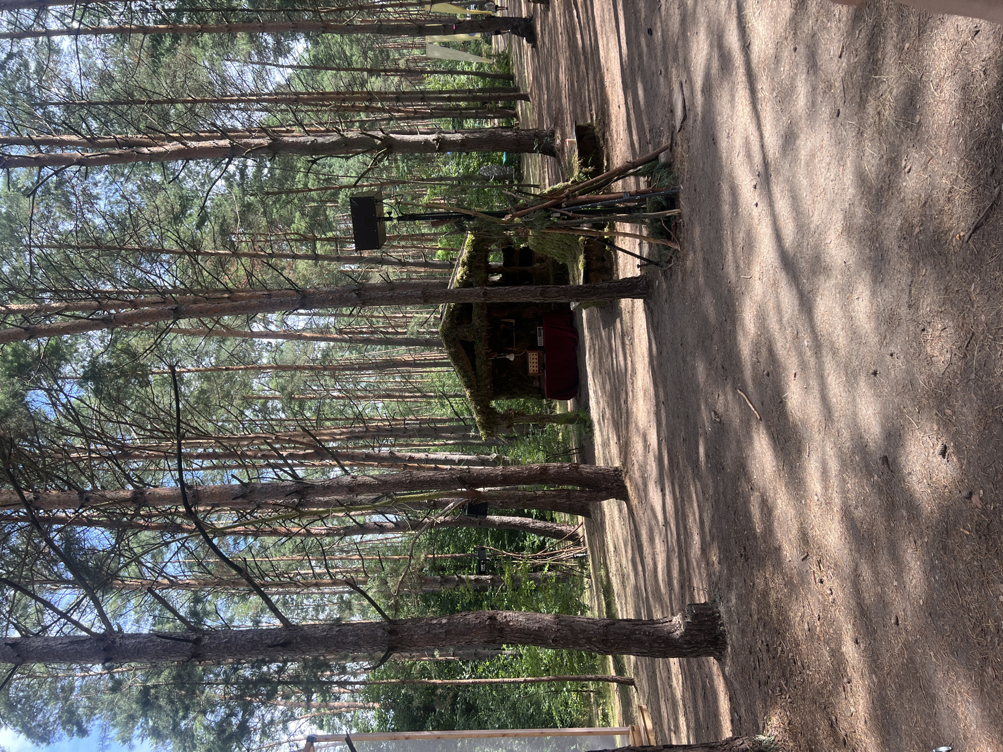 The image depicts a forested area with tall pine trees, suggesting an outdoor setting. In the center of the frame, there's a small, rustic structure, possibly a stall or a shelter, covered in moss and branches. In front of it, a makeshift structure of wooden sticks is arranged, topped with a dark rectangular object, likely a speaker or a light. The ground is covered with dirt, pine needles, and fallen branches, indicating a natural, unpaved surface. Sunlight filters through the trees, casting dappled shadows across the scene. The overall atmosphere is that of a natural, possibly event-related, setup within a forest. While the image is taken in a forest, the specific location within the city of Garbicz, Poland, cannot be determined from the visual information alone.