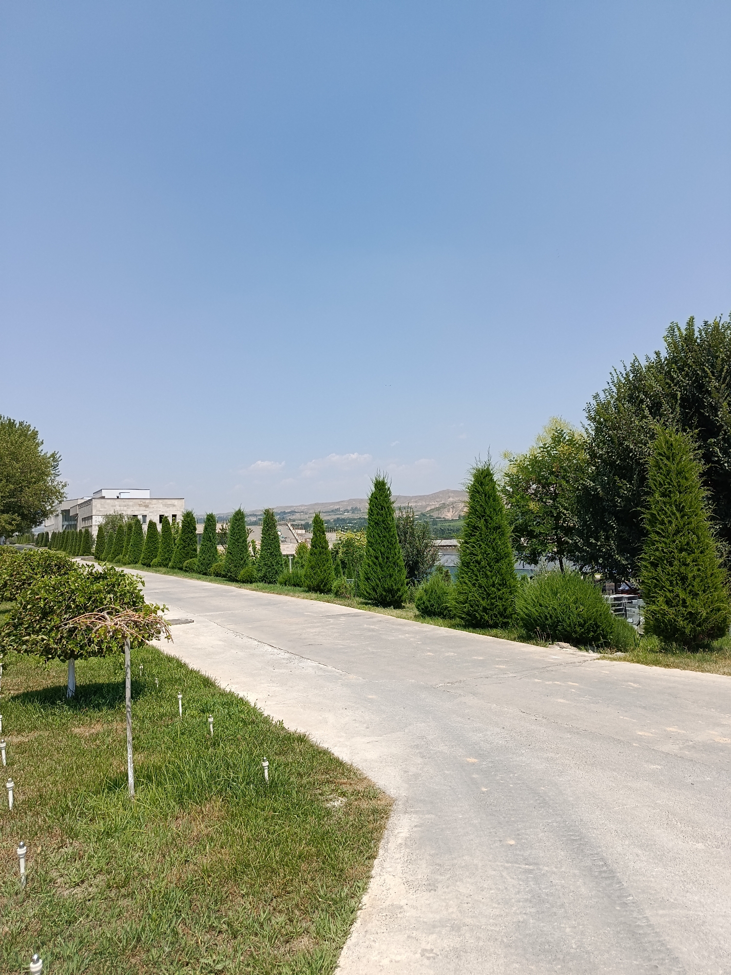 The image shows a paved road curving to the right, flanked by manicured grass and rows of evergreen trees. In the background, a long, modern building with a flat roof and numerous windows is visible, situated behind the trees. The sky is clear blue, with faint clouds on the horizon. The overall scene appears to be an outdoor area, possibly part of a campus or corporate grounds, in the city of Gulshan, Uzbekistan.