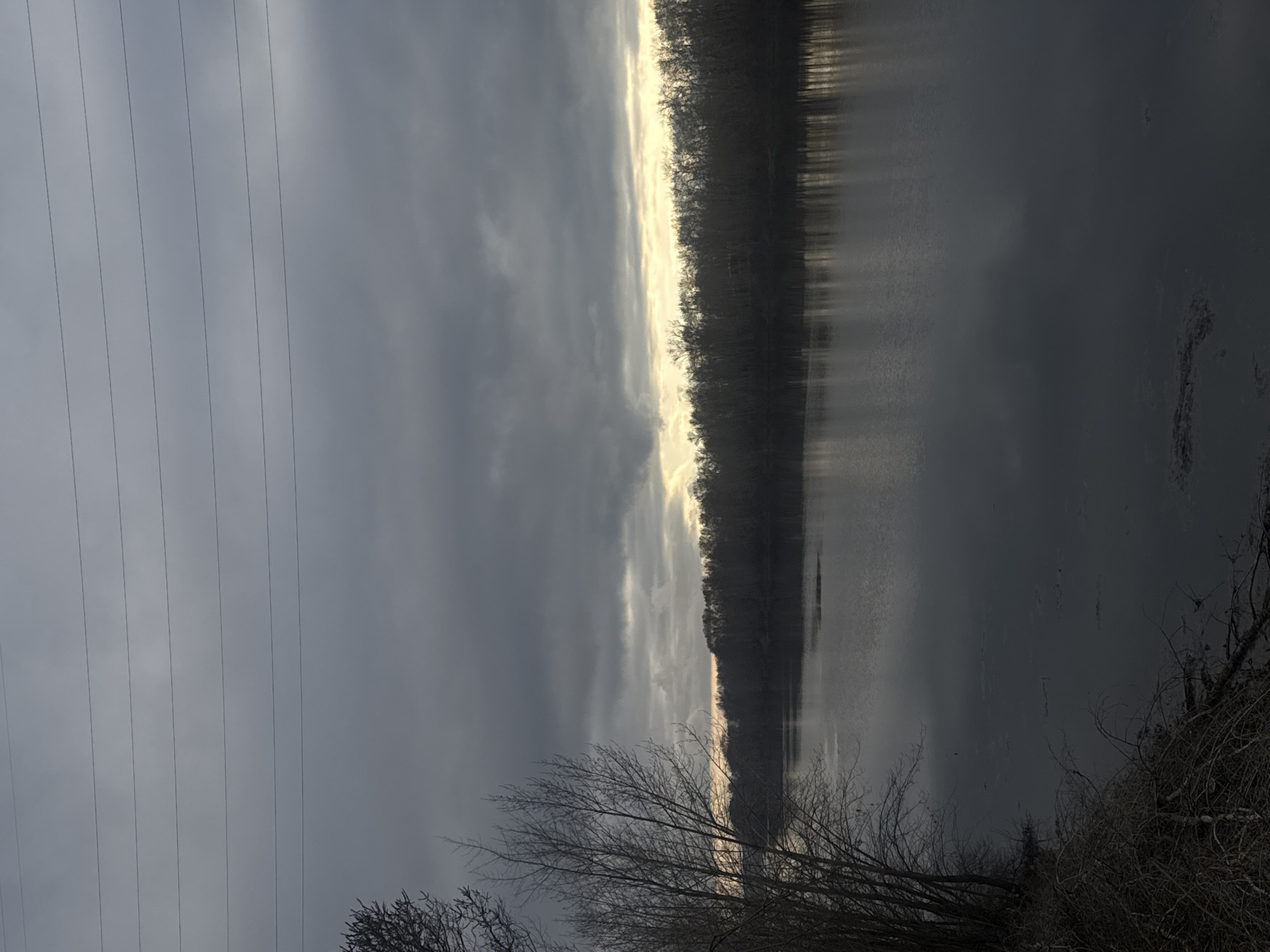 The image presents a serene landscape scene, characterized by a muted color palette and natural elements. The perspective suggests a view across a body of water towards a distant shore, with a low sun or bright light source peeking through clouds.
The upper portion of the scene is dominated by an overcast sky, filled with varying shades of gray clouds. A prominent, brilliant horizontal band of yellowish-white light cuts across the middle of the frame, indicating the position of the sun, which is either rising, setting, or briefly piercing through dense cloud cover. Multiple thin, dark power lines stretch diagonally across the upper-left section of the sky.
Below the intense band of light, a dark, silhouetted line of dense trees or land extends horizontally across the frame. These trees appear bare, suggesting a late autumn or winter season. The lower right portion of the image is occupied by a calm body of water, which perfectly mirrors the bright band of light from the sky, creating elongated, shimmering reflections. The water itself appears dark and tranquil.
In the bottom-left foreground, a tangle of bare, intricate branches from trees or bushes is visible, adding textural detail and depth to the immediate surroundings. These branches are also silhouetted against the lighter background.
The scene conveys a peaceful, quiet, and somewhat somber mood, characteristic of a cold, overcast day. There are no people or specific activities depicted. No text is visible in the image. The location context indicates this tranquil setting is near Chaikovsky, Russia.