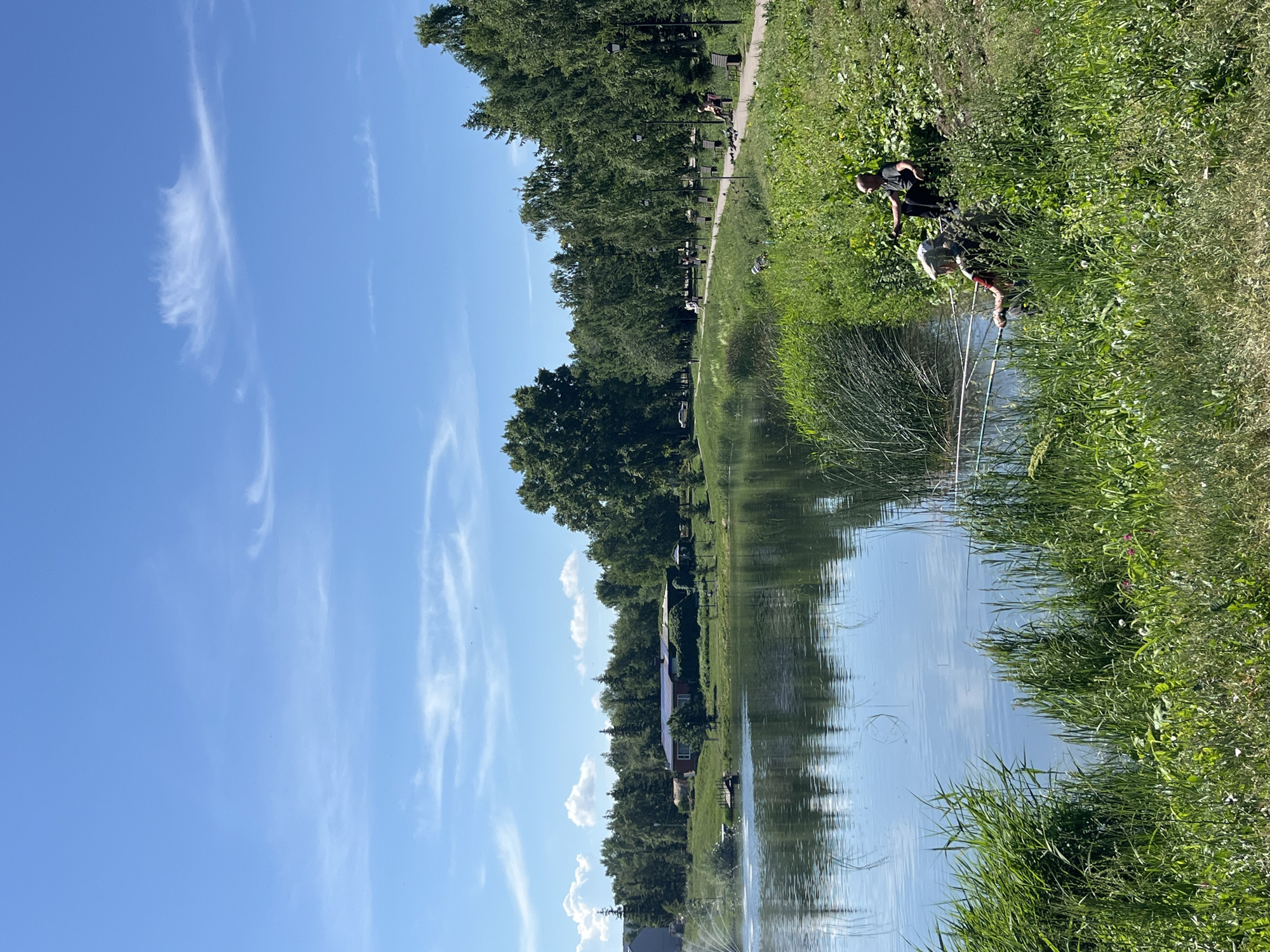 In Oktyabrsky, Russia, a serene scene unfolds at a park with a tranquil lake on a bright, sunny day under a clear blue sky with sparse white clouds. The foreground is dominated by lush green grass and reeds lining the edge of the lake. Two individuals are seen fishing near the water's edge. One, wearing a hat and a camouflage-patterned shirt, is seated, holding a fishing rod. Beside them, another person in a dark t-shirt is also seated, with their arm outstretched.
Across the lake, a building with a dark roof, possibly solar panels, is visible amidst a backdrop of dense green trees. A small wooden pier extends into the water near the building. Further along the lake's bank, a paved walkway winds through the park, lined with benches and lampposts. Several people are strolling or sitting on benches along this path, and a flock of pigeons gathers near one bench. The trees form a thick, verdant line along the park's perimeter, with some taller evergreen trees interspersed among deciduous ones. The lake reflects the blue sky and the surrounding greenery, creating a peaceful atmosphere.