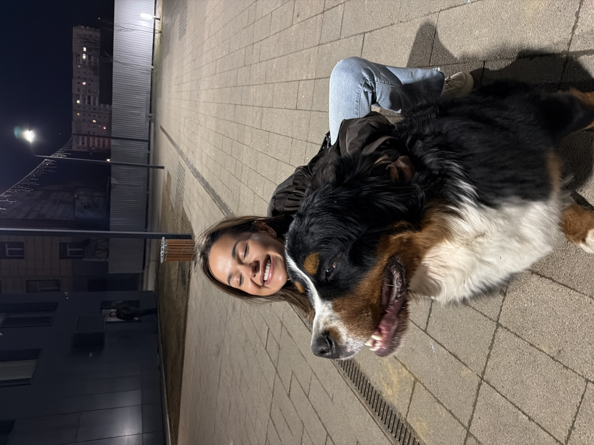 This image captures a nighttime scene in Krasnoyarsk, Russia, featuring a young woman and a large Bernese Mountain Dog. The woman, with long brown hair, is smiling broadly with her eyes closed, displaying happiness and contentment. She is wearing a dark jacket and light blue jeans, and is positioned low, likely kneeling or sitting on the ground next to the dog.
Beside her, a tricolored Bernese Mountain Dog (black, brown, and white fur) is lying on its side, looking relaxed with its mouth slightly open, revealing its tongue and teeth. Its dark eyes are visible.
The subjects are outdoors on a paved pathway or sidewalk, which shows a grid pattern. The time of day is night, indicated by the dark sky and the artificial illumination from streetlights and building windows. In the background, there are dark buildings, some with illuminated windows. A tall, multi-story building with numerous small, lit windows can be seen in the distance. A metal fence runs alongside the path. The lighting is artificial, casting some shadows. No visible text is present in the image.