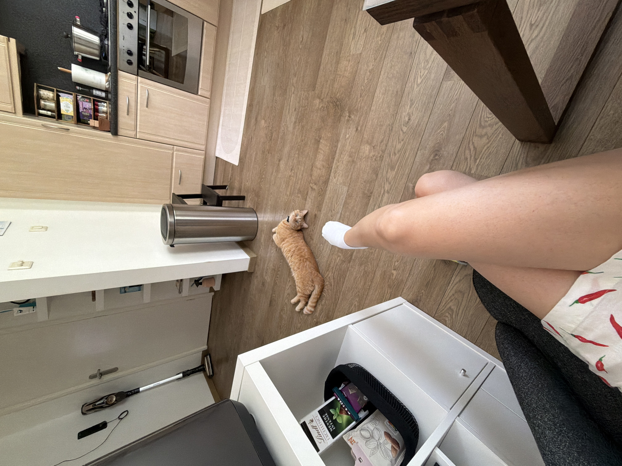 The image depicts a domestic interior, likely a kitchen or dining area, with a strong emphasis on wooden flooring and light-colored cabinetry. The perspective is from a seated position, looking down and slightly to the side.
The primary subjects are a person's legs and feet, clad in white socks and patterned shorts featuring red chili peppers, and an orange tabby cat lying stretched out on the floor. The cat appears relaxed, possibly napping. In the background, kitchen cabinets and appliances are visible, suggesting a functional living space. A stainless steel cylindrical object, possibly a trash can or storage container, is also present.
A white, multi-tiered storage unit is prominent in the foreground, with one drawer open revealing what appear to be chocolate wrappers and other small items. A cordless vacuum cleaner is stored in a lower cabinet. A wooden table leg is visible in the upper right quadrant, further indicating a dining or working area.
The overall mood is casual and domestic. The lighting suggests it is daytime, though the specific time is not discernible. There is no indication of the weather. The mention of Helmond, Netherlands, provides a geographical context.
No discernible text is clearly legible within the image, apart from potential branding on the chocolate wrappers which are too small and out of focus to be identified.