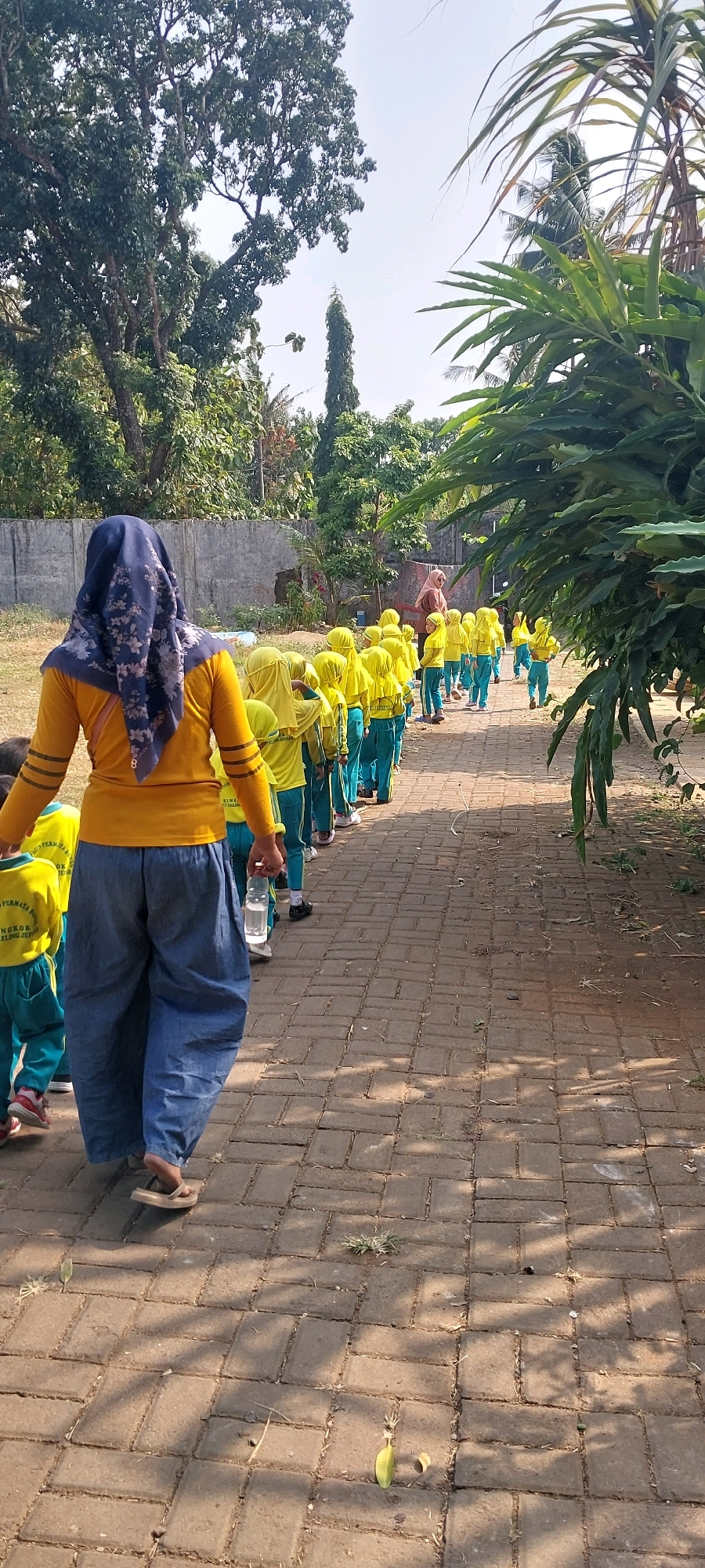 In Keling, Indonesia, a group of young children, dressed in matching yellow shirts and blue pants with yellow trim, are walking in a single file line on a brick pathway. They are being supervised by two adults. One adult, wearing a blue hijab and an orange shirt, is walking in front of the children and carrying a bottle of water. The other adult, wearing a light brown hijab and a light brown top, is visible in the background, slightly ahead of the line of children. The pathway is bordered by a low concrete wall and dry grass on one side, and lush green foliage and trees on the other. The sky is bright and clear, indicating a sunny day. The overall scene suggests an outdoor activity or field trip for the children.