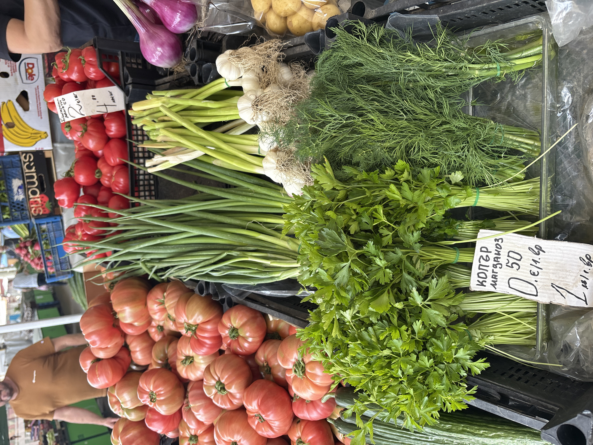This image captures a vibrant market stall laden with fresh produce, indicative of an outdoor market in Sofia, Bulgaria. The scene, viewed from a slightly elevated angle, showcases an abundant display of various vegetables and herbs.
The top of the display features several long, purple-red onions, and a plastic bag filled with small, light brown potatoes. Below these, extensive bunches of fresh green dill with feathery leaves are presented. Running horizontally across the mid-section of the stall are neatly bundled garlic bulbs, complete with roots and long green stems, alongside numerous bunches of green spring onions. Further to the right are large quantities of flat-leaf parsley, also bundled. A prominent handwritten cardboard price tag amidst the parsley and dill clearly labels "Копър" (Dill) and "Магданоз" (Parsley) with a price of "0.50 €/1.бр" (0.50 EUR per piece/bunch), followed by "1.80" which could be another price or unit.
The lower part of the stall is dominated by piles of large, ripe red tomatoes, some displaying green shoulders and an irregular, beefsteak-like shape, suggesting a fresh, local harvest. Another handwritten price tag on the tomatoes reads "Български" (Bulgarian) and "4.80", likely indicating a price per kilogram. At the bottom of the stall, dark green cucumbers are stacked.
Two individuals are partially visible: an arm wearing a dark top appears at the very top edge of the frame, and a person in a brown t-shirt is seen on the far left, partially obscured by the produce. Cardboard boxes with "Dole" and "sumaris" logos are incorporated into the stall's structure, likely used for display or storage. The overall impression is of a bustling, lively market offering fresh, locally sourced ingredients on a bright day.