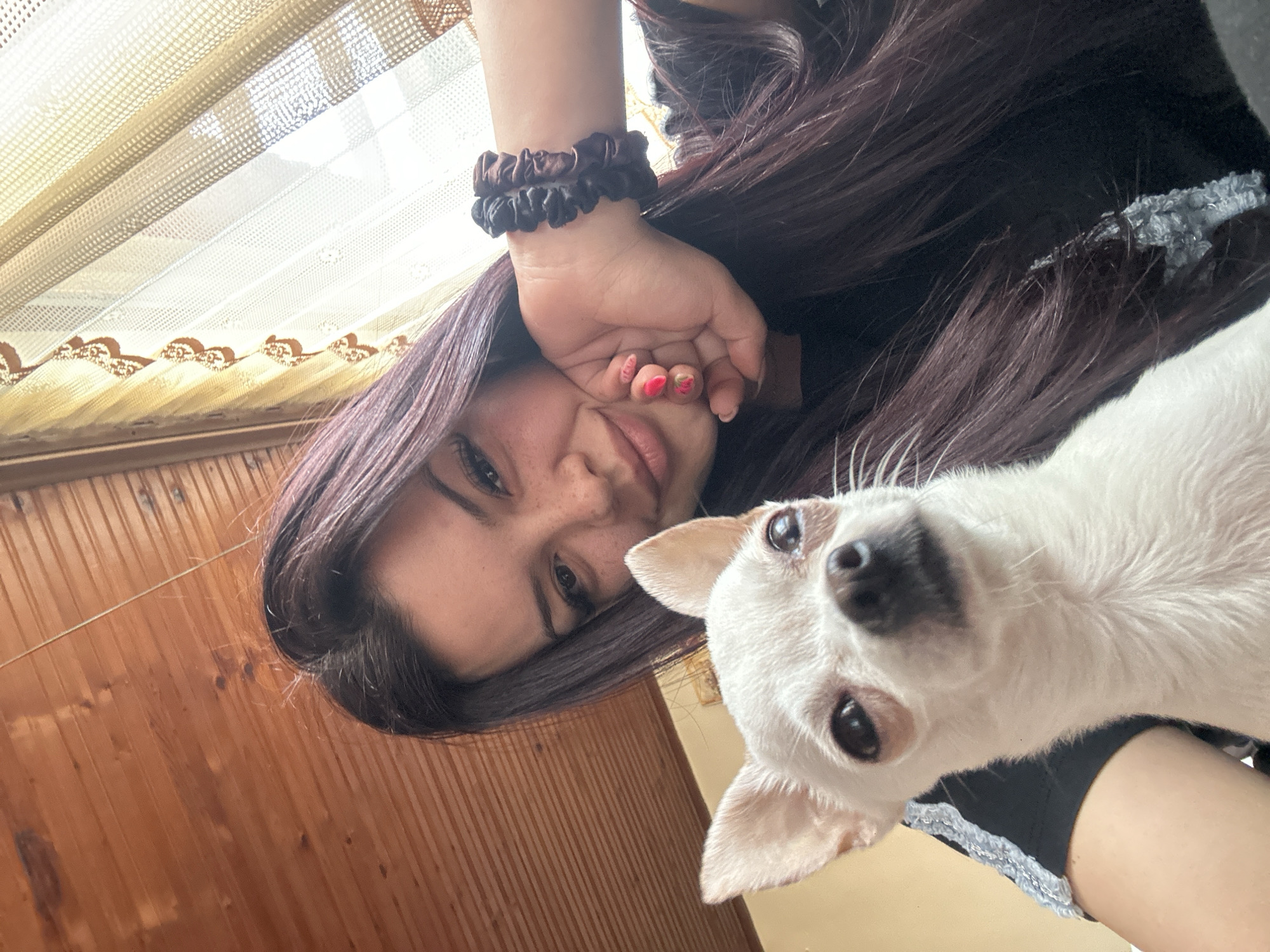 A woman and a small white dog are in the foreground of the image. The woman, who is fair-skinned, has long dark hair, brown eyes and freckles. She has a dark-colored scrunchie on her wrist, and some of her nails are painted red. Her hand rests on her cheek, her body is turned at an angle. The small white dog is to the right of the woman, looking into the camera. The dog has short, erect ears and a black nose. The background includes a light colored sheer curtain, and wood paneling. The location is the city of Chubra, Bulgaria.