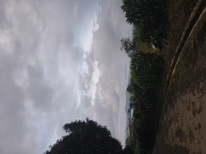 A landscape shot displays a cloudy sky above trees and foliage. A pathway or road edges the lower right, with vegetation bordering it. In the distance, houses and buildings are visible, hinting at a small town or village nestled among hills. The photograph appears to be taken in a rural or semi-rural environment, possibly during dawn or dusk based on the sky's lighting.