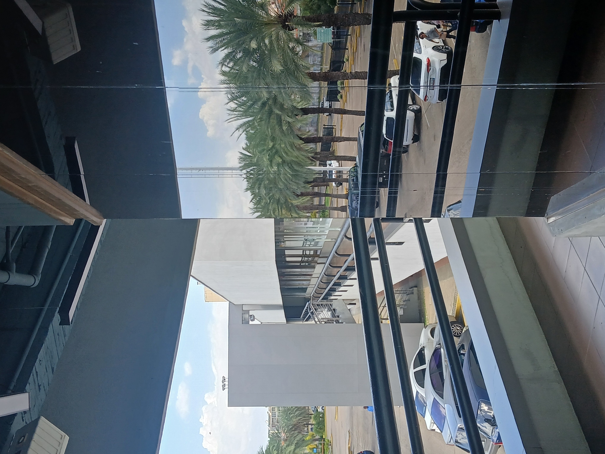 The image, presented rotated, offers a view from an elevated vantage point, likely through a glass window or barrier, overlooking an outdoor scene.
**Subjects:** The scene includes several individuals and numerous palm trees. One person wearing a light shirt and hat is visible near a white car in what appears to be a parking area. Another person in a blue uniform is partially visible near a darker vehicle.
**Objects:** Prominent in the immediate foreground is a black metal railing, indicating the viewpoint is from a balcony or elevated walkway. A long line of tall palm trees forms a natural barrier across the midground. Beyond the trees, several vehicles are visible, including white cars (some possibly SUVs) and darker sedans/trucks, parked in a paved area that resembles a parking lot or street. Modern-looking buildings are present in the background and as reflections on the glass.
**Scene, Setting & Activity:** The setting is an urban or suburban outdoor environment, typical of a city with a warm climate, suggested by the abundant palm trees. The activity captured is a casual daytime scene, with vehicles parked or moving slowly, and people standing or walking. The overall impression is one of everyday urban life.
**Notable Details:** The time of day is clearly daytime, with bright sunlight and a clear blue sky dotted with scattered white clouds, indicating fair weather. The image contains visible horizontal streaks or smudges on the glass surface through which it was taken, adding a layered quality and reflections of internal structures, such as dark beams and ceiling elements from the interior. The general atmosphere is calm. The tropical vegetation aligns with the provided location context of Ciudad Guayana, Venezuela.
**Visible Text:** A green directional sign is partially visible behind the palm trees, though its text is illegible. A license plate with "78096" is visible on a white car, but without full context or country identifiers. Some faint, unreadable text may be present on a dark vehicle.
