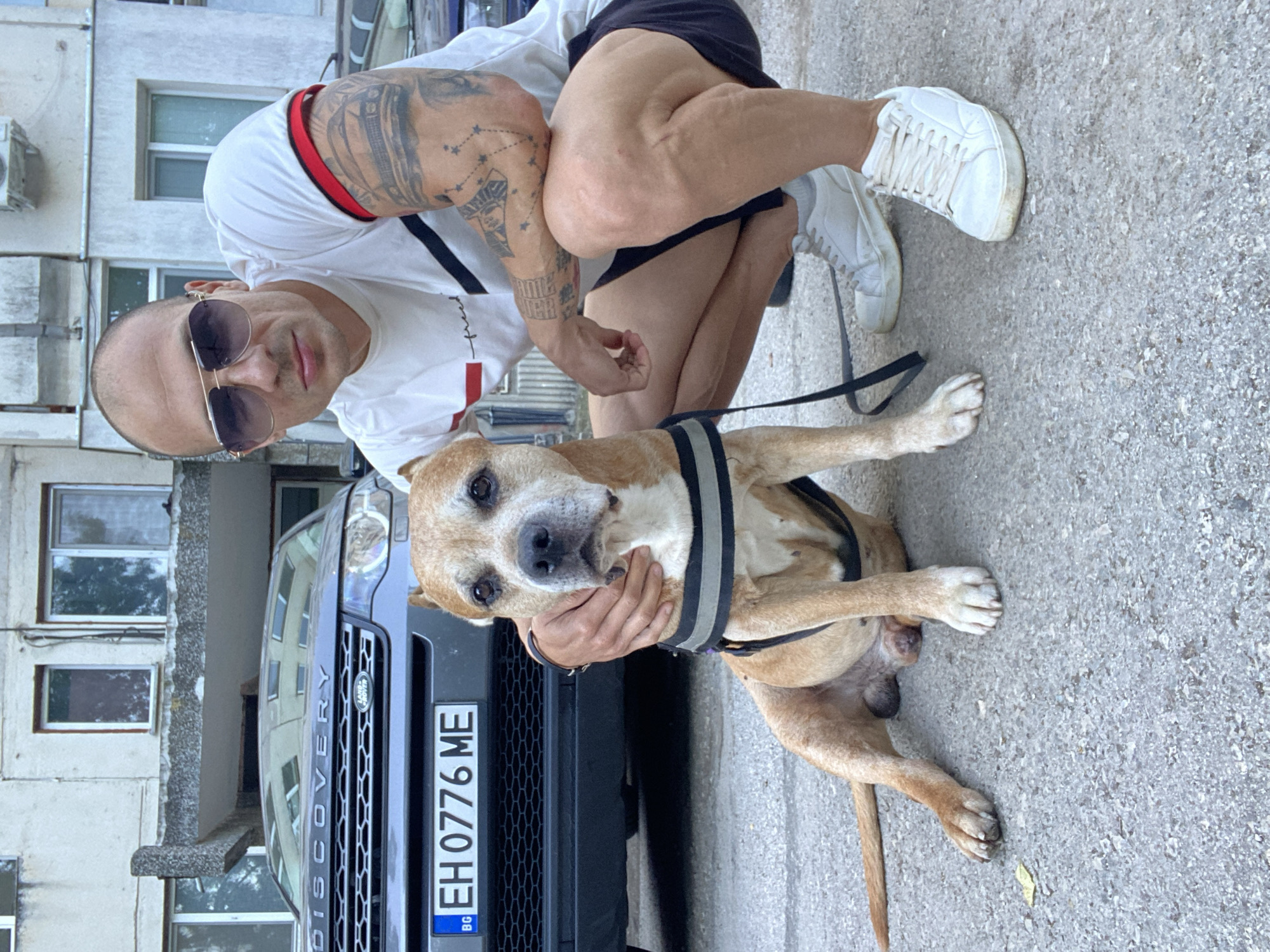 A man crouches next to a light-brown dog wearing a harness and leash. The man wears a white t-shirt with black trim and red accents, black shorts, and white sneakers. He also wears sunglasses and has tattoos on his left arm. The dog is looking directly at the camera. Behind them, a dark blue Land Rover Discovery is parked, its Bulgarian license plate reads "EH 0776 ME". The background shows an aging multi-story building with visible windows. The image was taken on an asphalt-covered street. Based on the license plate code "EH", the location is in the city of Pleven, Bulgaria.