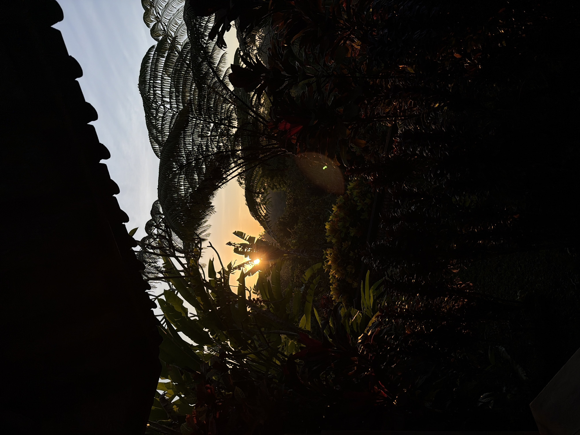 This image captures a sunrise over a lush tropical landscape in Ubud District, Indonesia. The foreground is dominated by dark silhouettes of tropical plants, including large-leafed plants and ferns, with the jagged edge of a dark roofline visible at the top. The sun, a bright orb with visible rays, is peeking through the foliage in the mid-ground, casting a warm golden glow on the scene. The sky transitions from a light blue to a pale orange near the horizon, indicating the early stages of dawn. A soft lens flare, appearing as a greenish-yellow circle, is present on the right side of the image, likely caused by the sun's intense light interacting with the camera lens. The overall impression is one of a serene and vibrant natural setting at the start of a new day.
