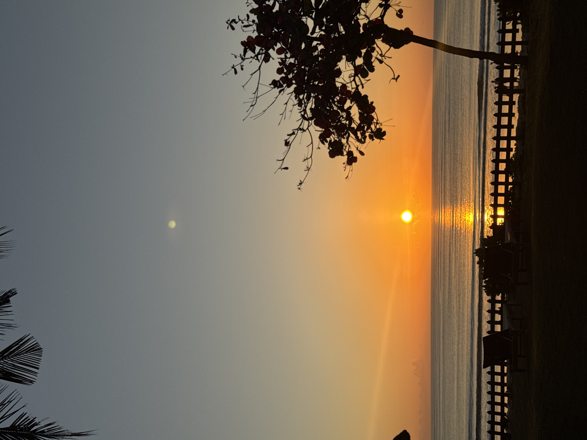 This is a vertical, close-up, eye-level shot of a serene beach scene at sunset in Kuta Selatan, Indonesia. The sky transitions from a pale blue at the top to a vibrant orange near the horizon. The sun, a bright orange orb, is positioned just above the water, casting a shimmering golden reflection on the ocean's surface. Gentle waves roll towards the shore, creating subtle lines on the water.
In the foreground, silhouetted against the sunset, are two empty lounge chairs on a grassy area. A dark, wooden picket fence runs across the middle ground, separating the lawn from the beach. Behind the fence, indistinct figures can be seen walking along the shore. A silhouetted tree with sparse branches and dark leaves stands to the right of the frame, its form stark against the colorful sky. Palm fronds hang from the top edge of the image, framing the scene from the left. The overall atmosphere is peaceful and tranquil, capturing the beauty of a tropical sunset.