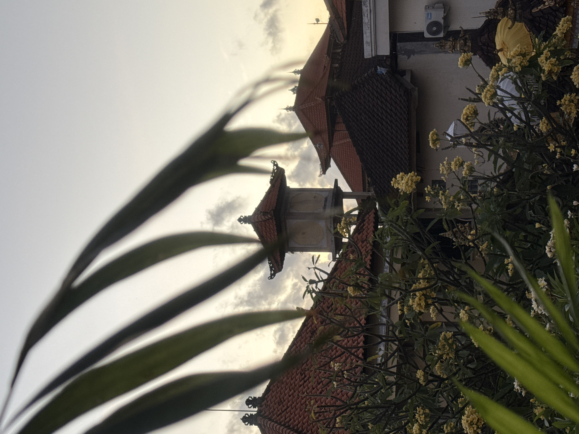 In the city of Kuta, Indonesia, a serene scene unfolds at dusk, framed by the soft glow of the setting sun and partially obscured by the fronds of a palm tree. The image captures traditional Balinese architecture with its distinctive red-tiled roofs, characteristic of the region. Amongst the rooftops, a tall, square tower with a tiered, pagoda-like top stands out, likely a decorative element or part of a larger structure. Below, a lush display of frangipani trees, adorned with clusters of delicate yellow and white blossoms, creates a vibrant contrast against the muted tones of the buildings. An air conditioning unit is visible on one of the walls, a modern touch amidst the timeless architecture. The sky above is a canvas of soft hues, with scattered clouds adding depth and texture to the twilight panorama. The overall impression is one of tranquility and cultural richness, a typical Balinese vista at the end of the day.