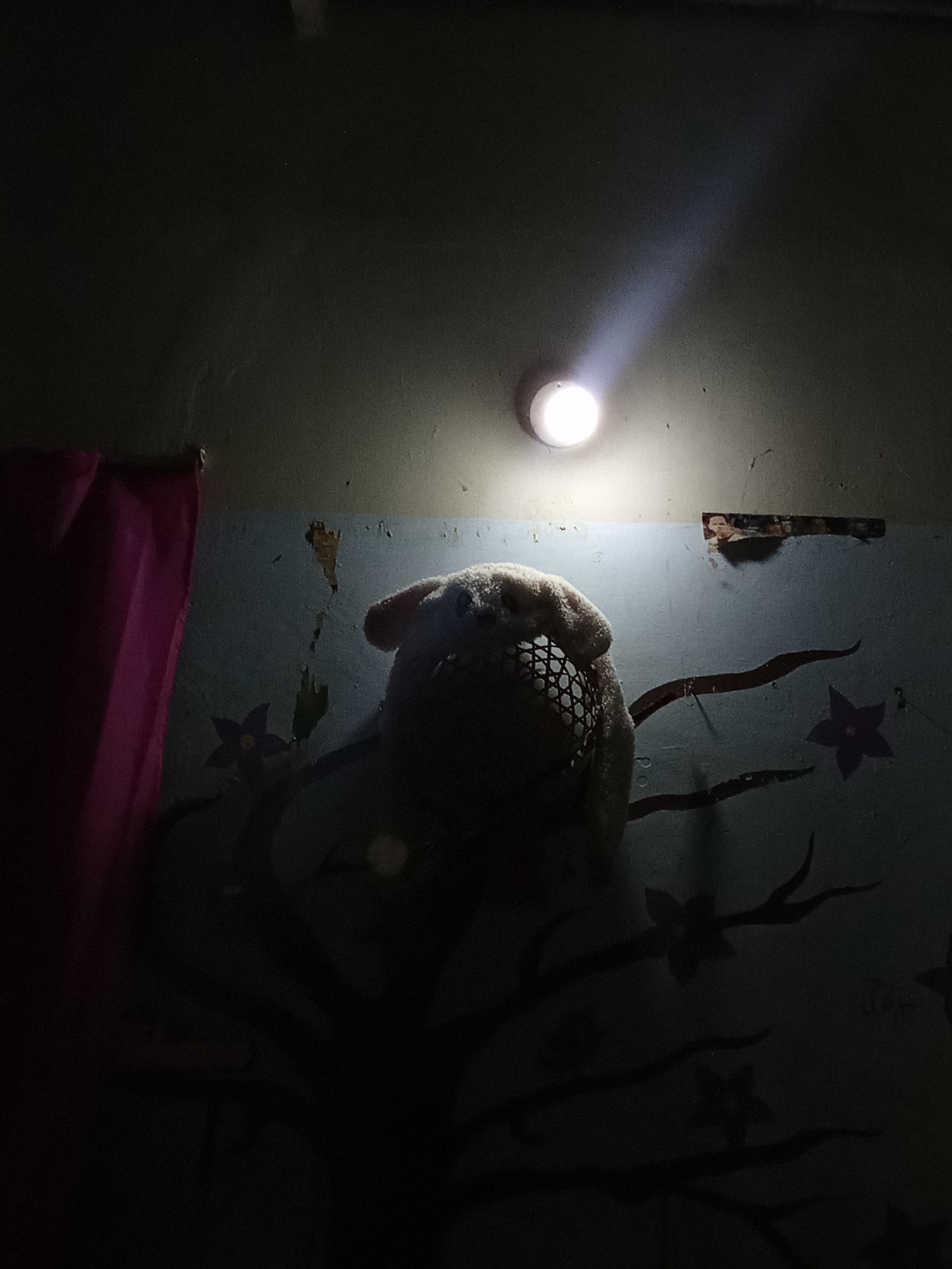 A dim interior scene is dominated by a wall mural of a tree with stylized flowers. A stuffed animal or mask with a mesh-like mouth hangs on the wall. A light fixture directly above casts a stark beam down onto the object and mural. To the left is a section of a magenta curtain. The location is unknown and there is no indication the location is Juan Griego, Venezuela. There are no people depicted.
