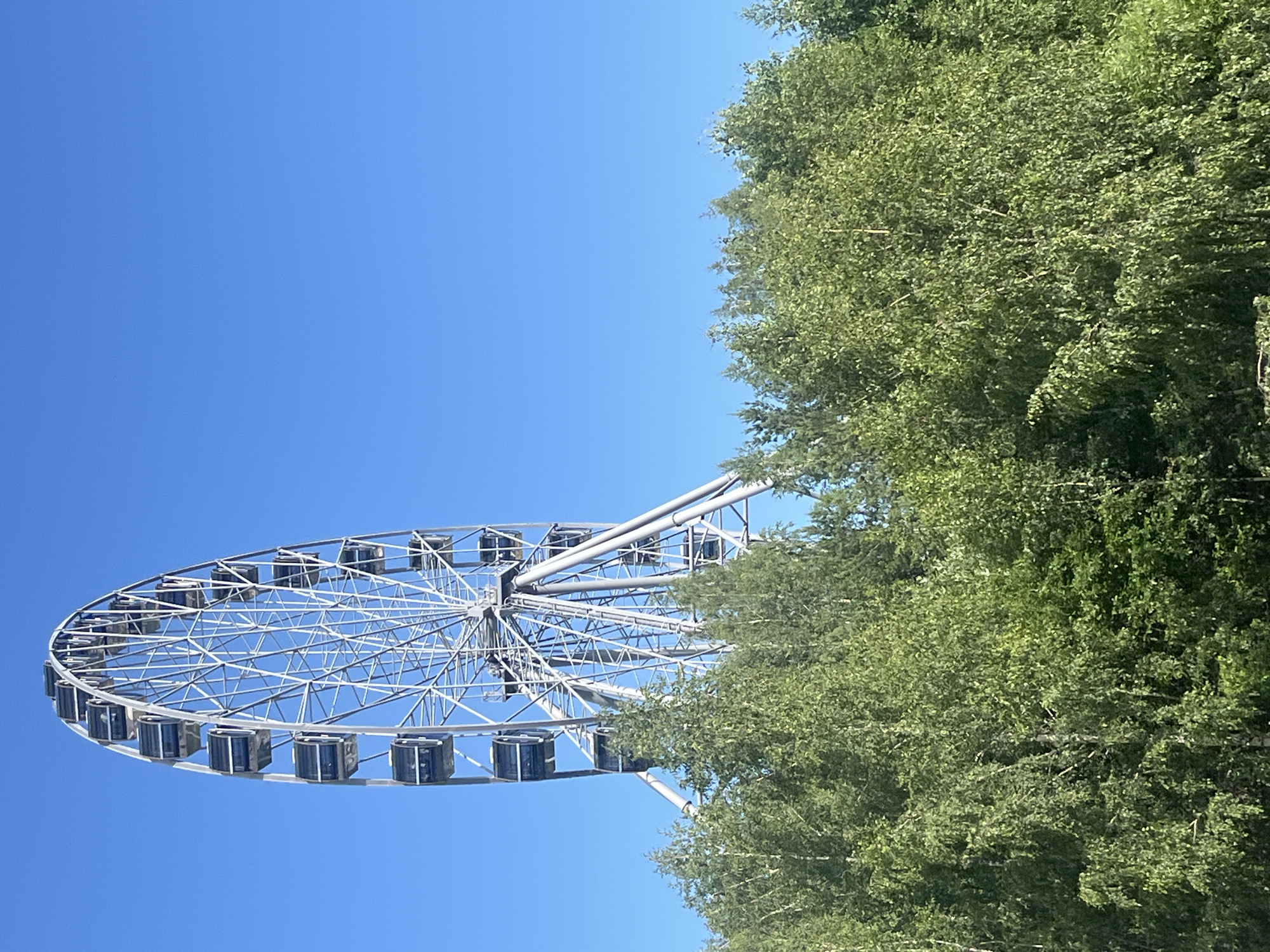 The image features a ferris wheel against a clear blue sky. A lush green tree occupies the right side of the frame, partially obscuring the ferris wheel and the sky. The ferris wheel is a large, modern structure with many gondolas. The scene appears to be outdoors on a sunny day. The image orientation is landscape. The provided location context is Yekaterinburg, Russia, suggesting this is likely a view of a ferris wheel in a park or amusement area within that city. There is no visible text in the image.