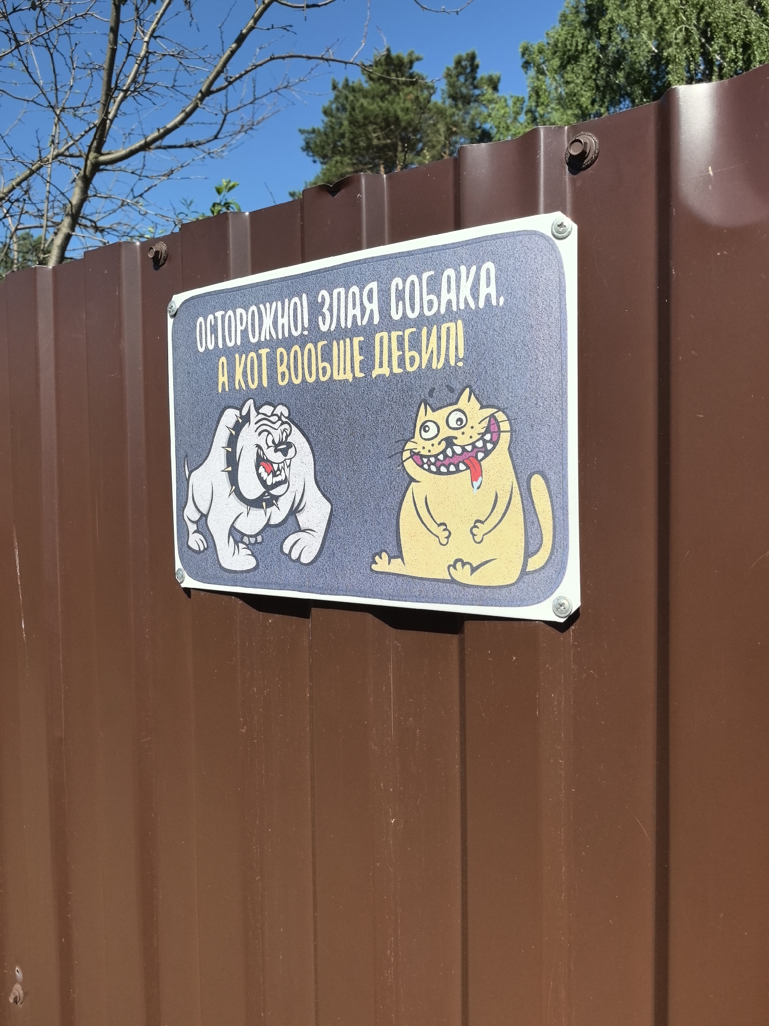A rectangular sign is attached to a brown corrugated metal fence. The sign has a dark blue background and a white border, with two cartoonish animals depicted on it. On the left, a white bulldog with a spiked collar and bared teeth is shown. On the right, a plump, yellow cat with a wide grin and its tongue sticking out is depicted. The text on the sign, in white and yellow lettering, reads "ОСТОРОЖНО! ЗЛАЯ СОБАКА. А КОТ ВООБЩЕ ДЕБИЛ!" which translates to "CAUTION! ANGRY DOG. AND THE CAT IS A TOTAL MORON!". The sign is attached to the fence with two visible screws. The fence appears to be outdoors, with a clear blue sky and trees visible in the background. The image was taken in Noviy, Russia.