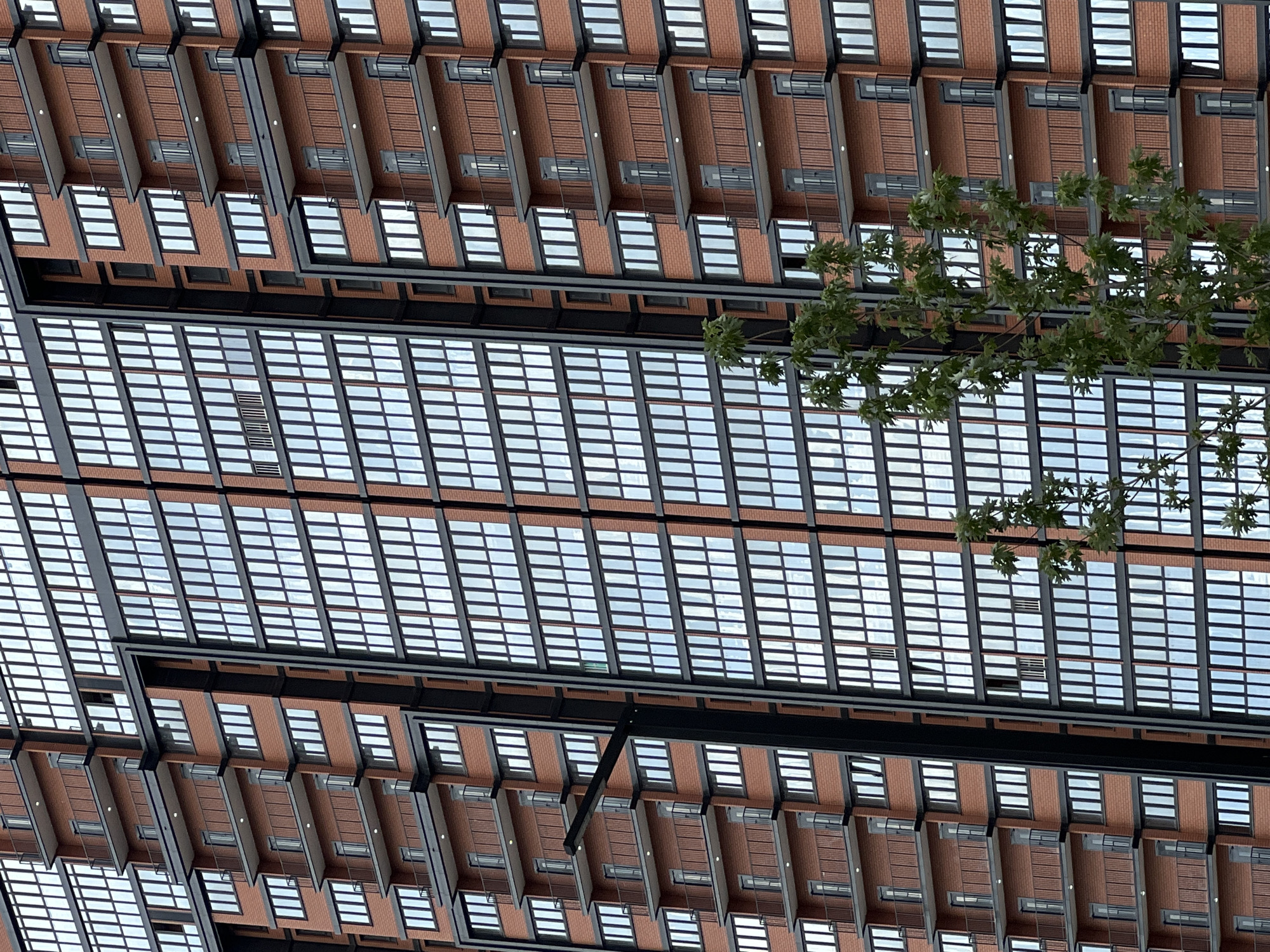 This is a low-angle shot of the exterior of a modern building, possibly a multi-story office or residential complex, viewed from below. The architecture features a repeating pattern of brickwork and numerous glass windows arranged in horizontal bands. The windows appear to be large, possibly floor-to-ceiling in some sections, and are framed by dark metal.
The building's design suggests a contemporary aesthetic, with clean lines and a focus on natural light. There is a visible green tree branch with leaves extending into the frame from the upper right, indicating the presence of surrounding vegetation and suggesting an outdoor setting. The sky is visible through the windows, appearing bright and possibly overcast, suggesting daytime.
The image is composed of repeating geometric patterns formed by the windows and brickwork, creating a sense of depth and scale. There are no people or discernible activities taking place within the visible parts of the building. The scene appears to be a static architectural study, highlighting the building's structure and design elements.
The context provided places this scene in Krasnodar, Russia, but there are no specific visual cues within the image itself that would definitively identify the location. The weather appears to be fair, with diffused light. The overall impression is one of modern, functional architecture.