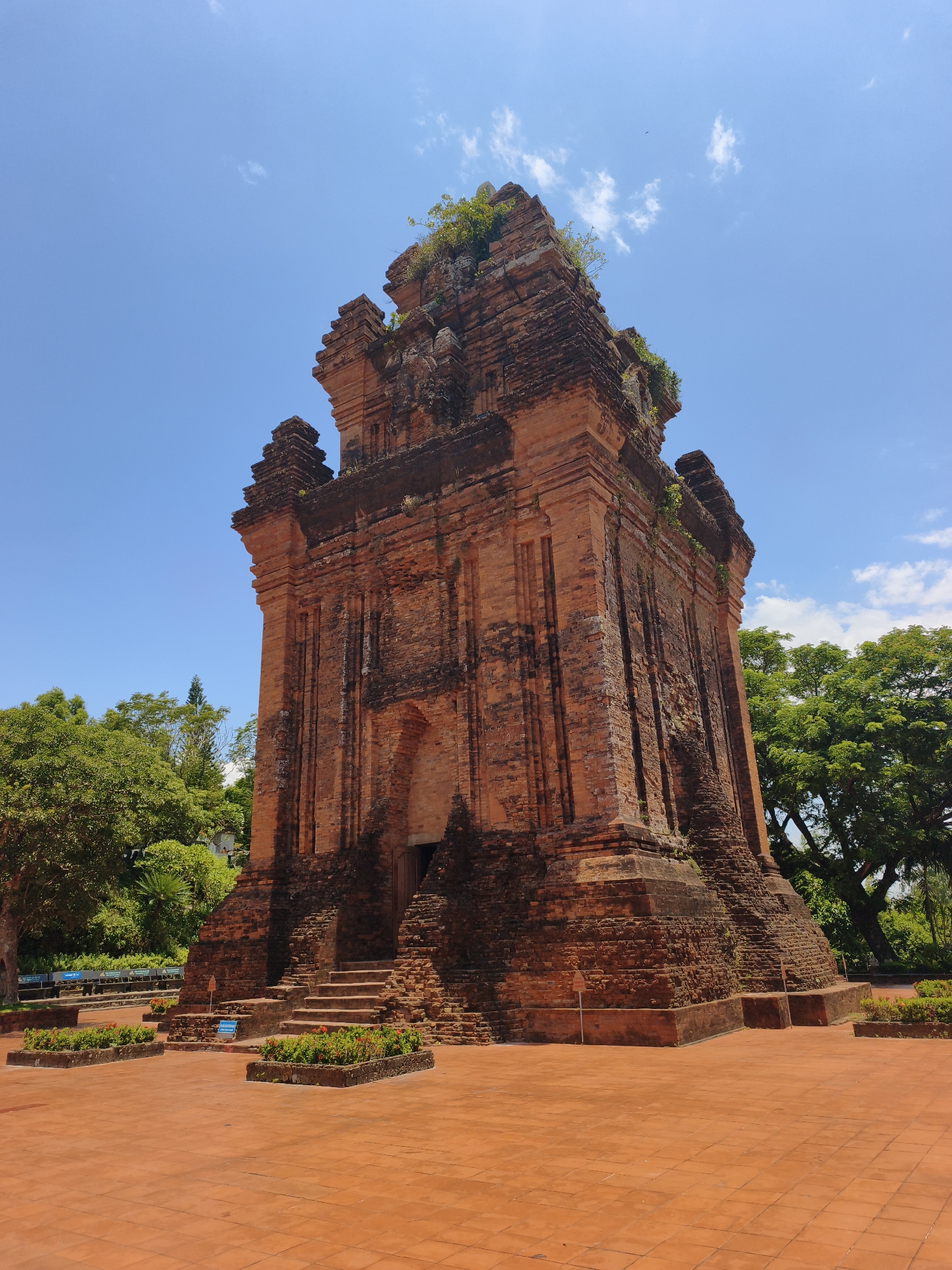 This is a full-frame, eye-level, outdoor shot of the Thap Nhan, a Cham tower located in the city of Tuy Hoa, Vietnam. The tower, constructed from reddish-brown bricks, is the central subject, taking up a significant portion of the frame. It is a multi-tiered structure with a stepped base and top, showing signs of age and weathering, with vegetation growing on its upper levels. A wide, terracotta-tiled plaza surrounds the base of the tower, with several low, rectangular planters filled with green plants and red flowers in the foreground. Stone steps lead up to the entrance of the tower. Lush green trees with dense foliage are visible behind and to the sides of the tower. The sky above is a clear, bright blue with a few wispy white clouds. The lighting suggests it is daytime, likely late morning or early afternoon, with the sun casting shadows. There are no people visible in the image. The overall scene conveys a sense of historical significance and natural beauty.