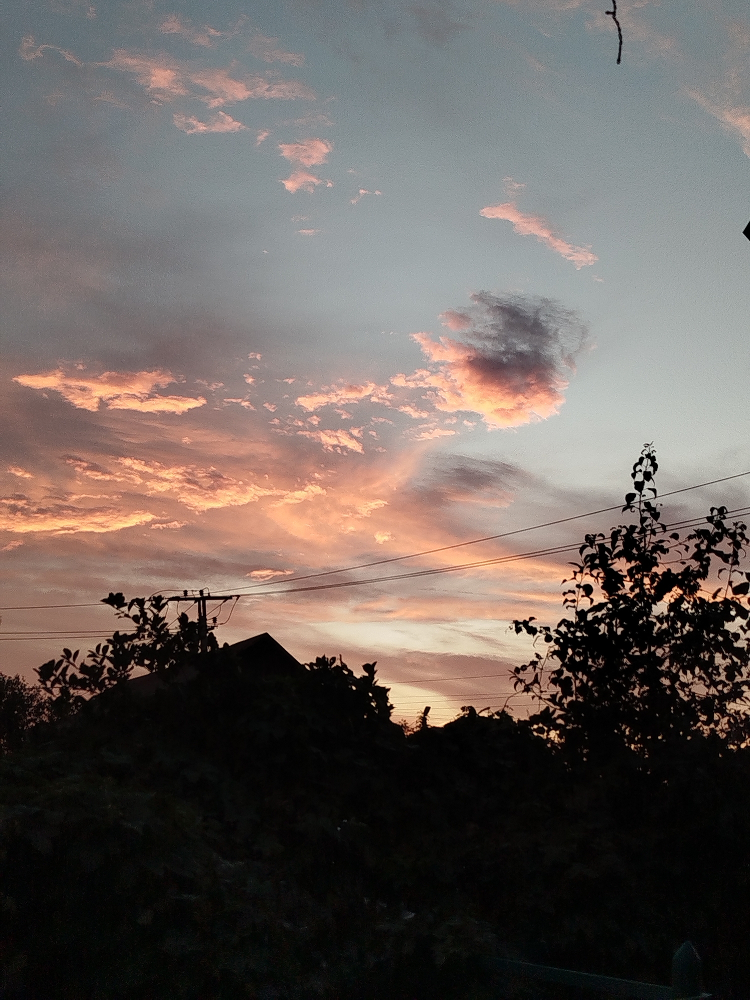 This image captures a dusky sky with wispy clouds illuminated by hues of pink and orange, suggesting either sunrise or sunset. Silhouetted against this vibrant sky are the tops of trees and a low-slung roofline, indicating a semi-rural or suburban setting. Power lines are visible, stretching across the frame and crossing over the silhouetted landscape. The overall impression is one of quietude and the transition between day and night. The provided location of Zavodoukovsk, Russia, adds a specific geographical context to the scene, implying this is a typical evening or morning view in that area. There are no discernible people or specific actions taking place.