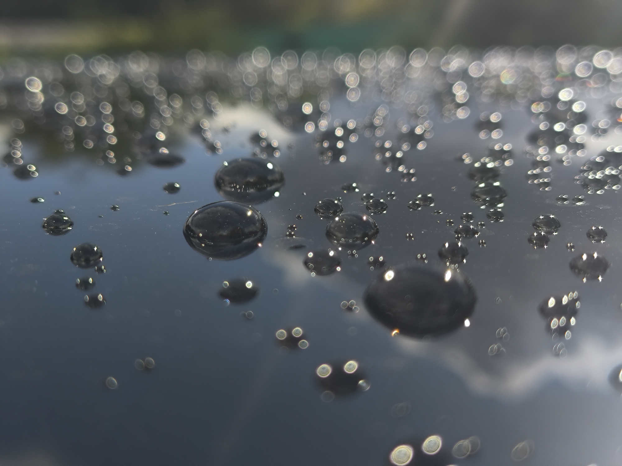 This image is a close-up, low-angle shot of water droplets on a dark, reflective surface, likely a car hood. The water droplets are of varying sizes, from tiny specks to larger, more prominent spheres that distort the reflection beneath them. Many of the smaller droplets show bright circular highlights, indicative of light sources being reflected and refracted by the water. The background is blurred and out of focus, with soft green and gray shapes that suggest foliage and sky, possibly indicating an outdoor environment. There are no people, animals, or man-made structures clearly visible in the image. The scene captures the abstract beauty of water on a surface, emphasizing texture, light, and reflection. The image does not provide any information that would allow for specific localization within the city of Kaliningrad, Russia.