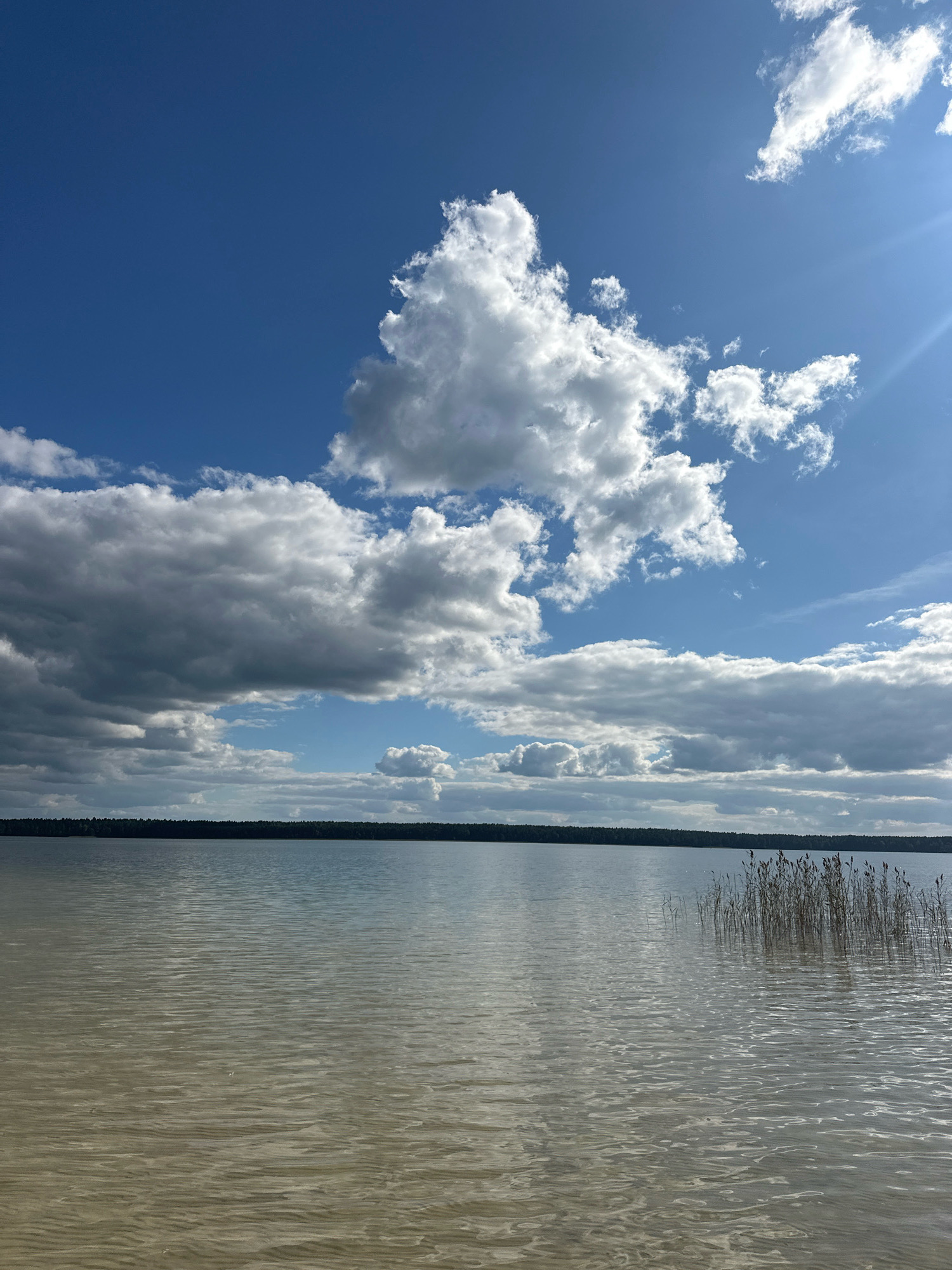 The image depicts a serene body of water, likely a lake, under a bright blue sky dotted with fluffy white clouds and some darker, more ominous clouds. A thin line of dark green trees marks the distant shoreline. In the foreground, dry reeds emerge from the water on the right side of the frame. The water itself appears calm with subtle ripples on its surface, reflecting the sky and clouds in muted tones. The overall scene is one of natural beauty and tranquility, suggesting an outdoor location in the Мядзельскі сельскі Савет, Belarus, possibly during daylight hours with varied weather conditions. There are no people or animals visible in the image.
