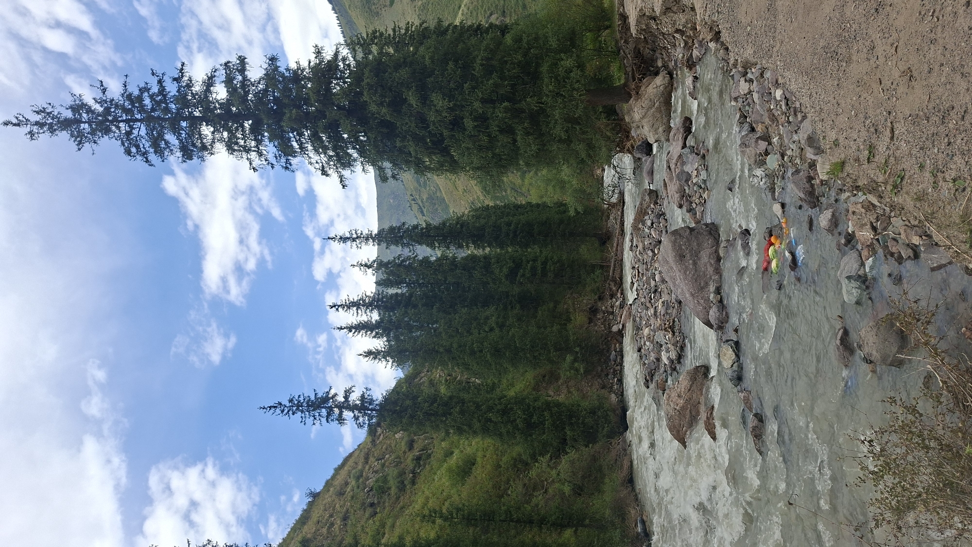 A scenic view of a mountain river in the city of Batan, Kazakhstan, showcases a turbulent body of water flowing over a rocky bed. The riverbanks are densely lined with tall, dark green coniferous trees, creating a natural, wild landscape. The slopes on either side of the river are covered with vegetation and rocks, leading up to rolling hills in the background. The sky above is a bright blue, dotted with white, fluffy clouds. In the foreground, several colorful objects, including what appear to be watermelons and other round, brightly colored items, are floating in the river near the bank, alongside some plastic debris. The overall impression is one of natural beauty, with a touch of human impact from the scattered items in the water.