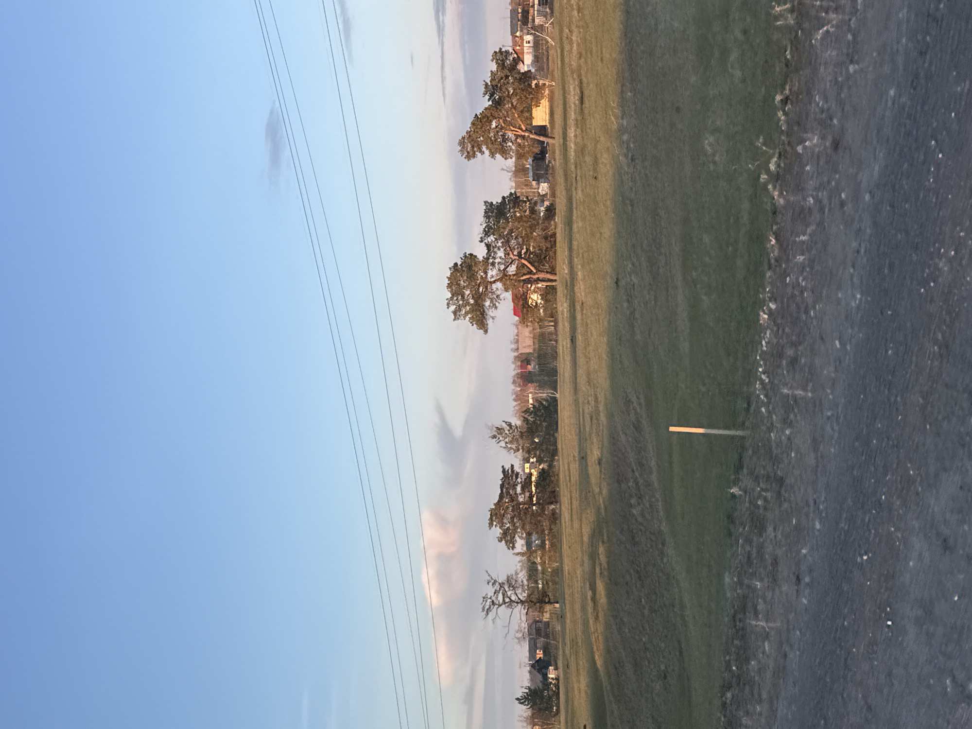 The image presents a landscape with a clear blue sky on the left intersected by electrical power lines. A narrow band of soft white and pale pink clouds borders the line of trees. The trees line the field, separating it from a built environment of houses and buildings. The field is transitioning to a darker color on the right side. The composition suggests the photograph was taken at ground level on the edge of a road that appears as asphalt on the right of the scene. There are no people visible in the image. There is no way to ascertain the exact location is Syrdakh, Russia.