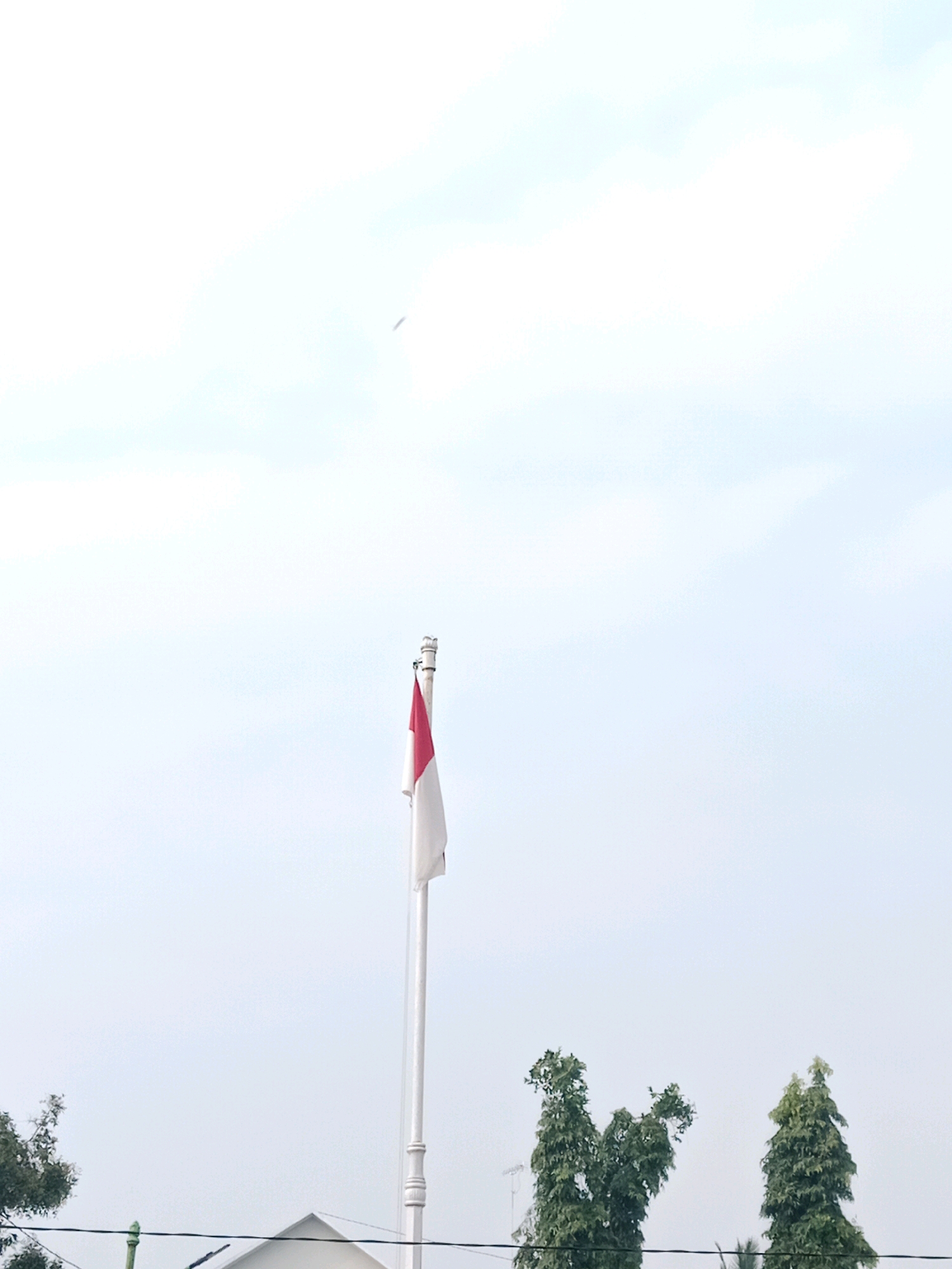 In the city of Salatiga, Indonesia, a white flagpole stands tall against a pale sky, bearing the Indonesian flag, which is split horizontally into red and white. The flag appears to be caught in a gentle breeze, with the red portion on top and the white portion below. In the distance, several tall, slender trees with dense green foliage are visible. A portion of a building with a white, triangular roof is also present. The overall atmosphere is serene, with the muted tones of the sky and the natural elements creating a tranquil scene. The image captures a moment of quiet observation of national symbols and the surrounding environment in an Indonesian urban setting.