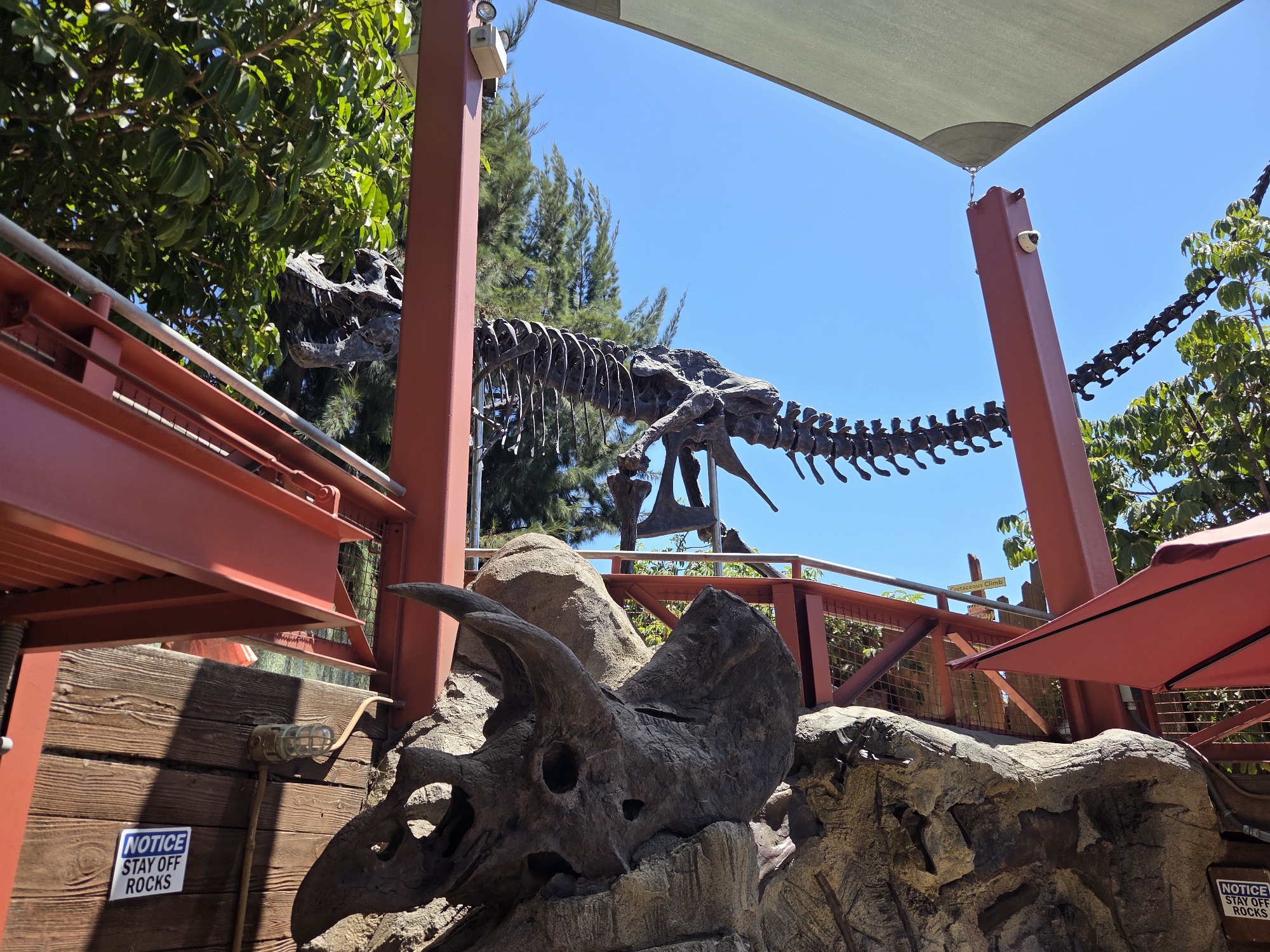 The image depicts an outdoor display of dinosaur fossils, specifically a T-Rex skeleton and a Triceratops skull, set against a bright blue sky and lush green foliage. The display appears to be located in Santa Ana, California, as indicated by the presence of a sign that reads "Cretaceous Climb" which is associated with a theme park attraction in that city. The dinosaur skeleton is suspended by metal structures, while the Triceratops skull is positioned on a rocky, artificial landscape. Red metal beams and a fabric awning provide shade for visitors. A wooden wall is visible in the foreground, featuring a "NOTICE STAY OFF ROCKS" sign. No people are visible in the image.