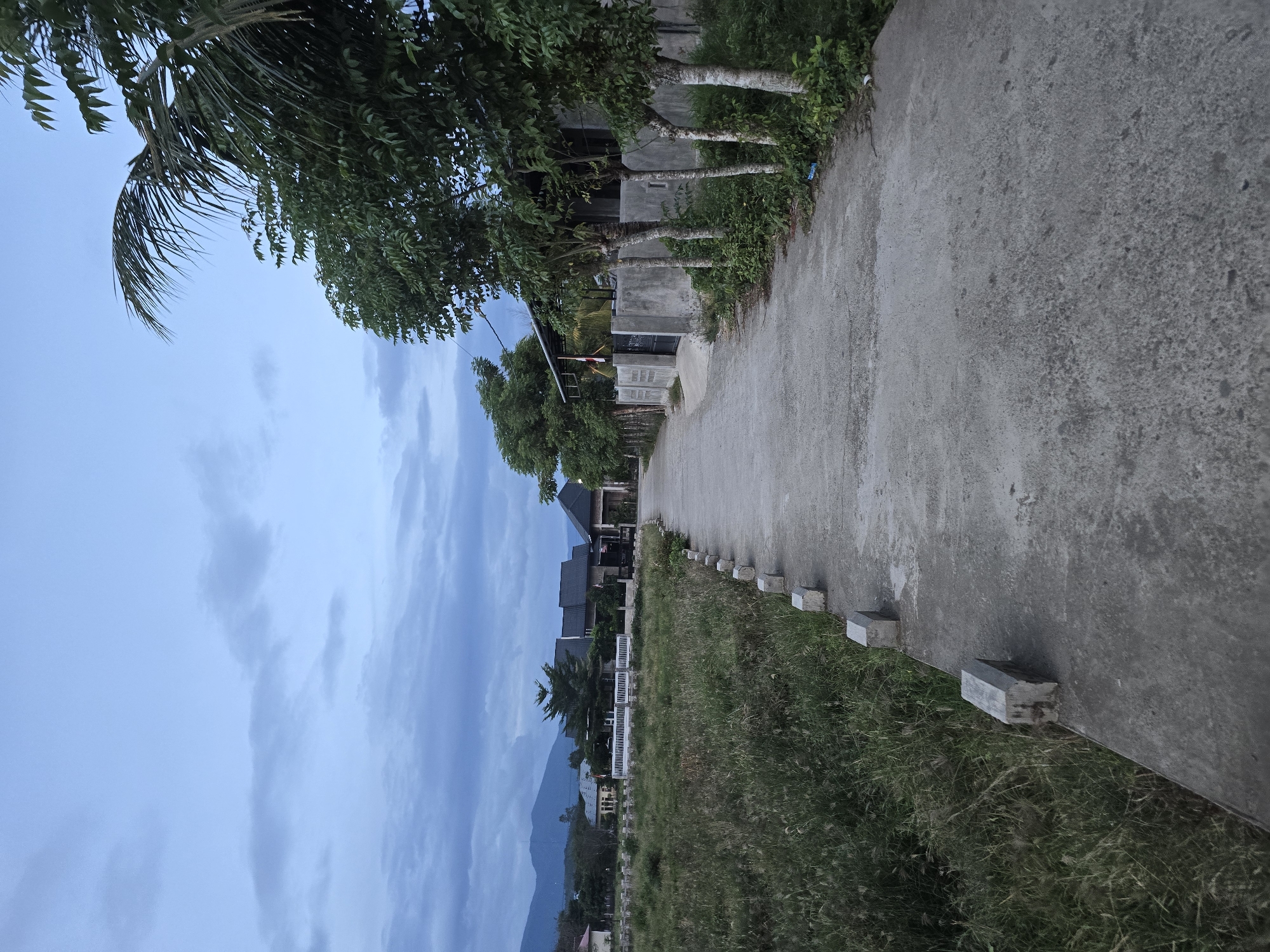 The image depicts a concrete road winding through a semi-urban area at dusk. On the left, a field of tall, dry grass borders the road, punctuated by small, rectangular concrete blocks that serve as roadside markers. In the distance, a row of houses with tiled roofs and modern architecture is visible, set against a backdrop of low mountains and a cloudy sky. To the right of the road, a wall made of concrete blocks separates the road from a property with several trees and a palm tree. The sky is a muted blue, indicating the transition from day to night. The scene appears peaceful and rural, characteristic of a town like Meunasah Raya, Indonesia, where such landscapes are common. There are no people visible in the image.