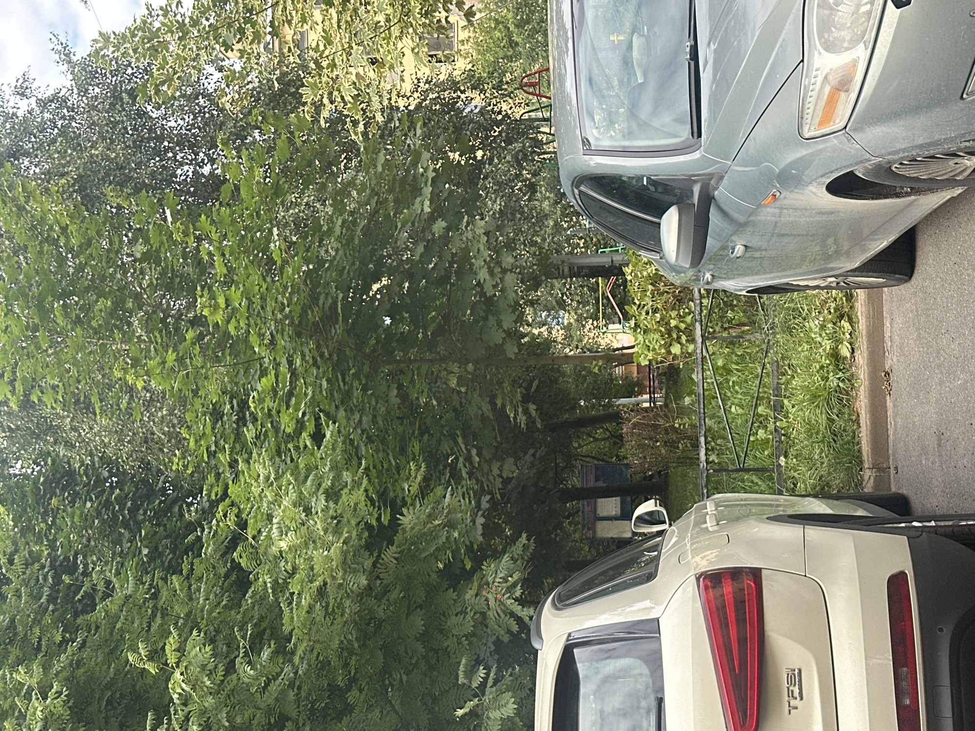 The image depicts an outdoor scene in Saint Petersburg, Russia, focusing on two parked cars in front of a dense cluster of trees and a building. In the foreground, the rear portion of a light-colored Audi SUV is visible on the left, and the front section of a silver sedan is on the right. Both vehicles are positioned on an asphalt surface, with a curb and some dry leaves present.
Behind the cars, a dark metal fence runs horizontally, separating the parking area from a patch of green grass and a bulletin board situated amongst the foliage. The trees are lush and green, with sunlight filtering through their leaves, suggesting it is daytime. The building in the background appears to be a multi-story structure, possibly residential, with visible windows. The overall impression is of a residential or public area within a city, characterized by a mix of urban infrastructure and natural elements. There are no people visible in the image.