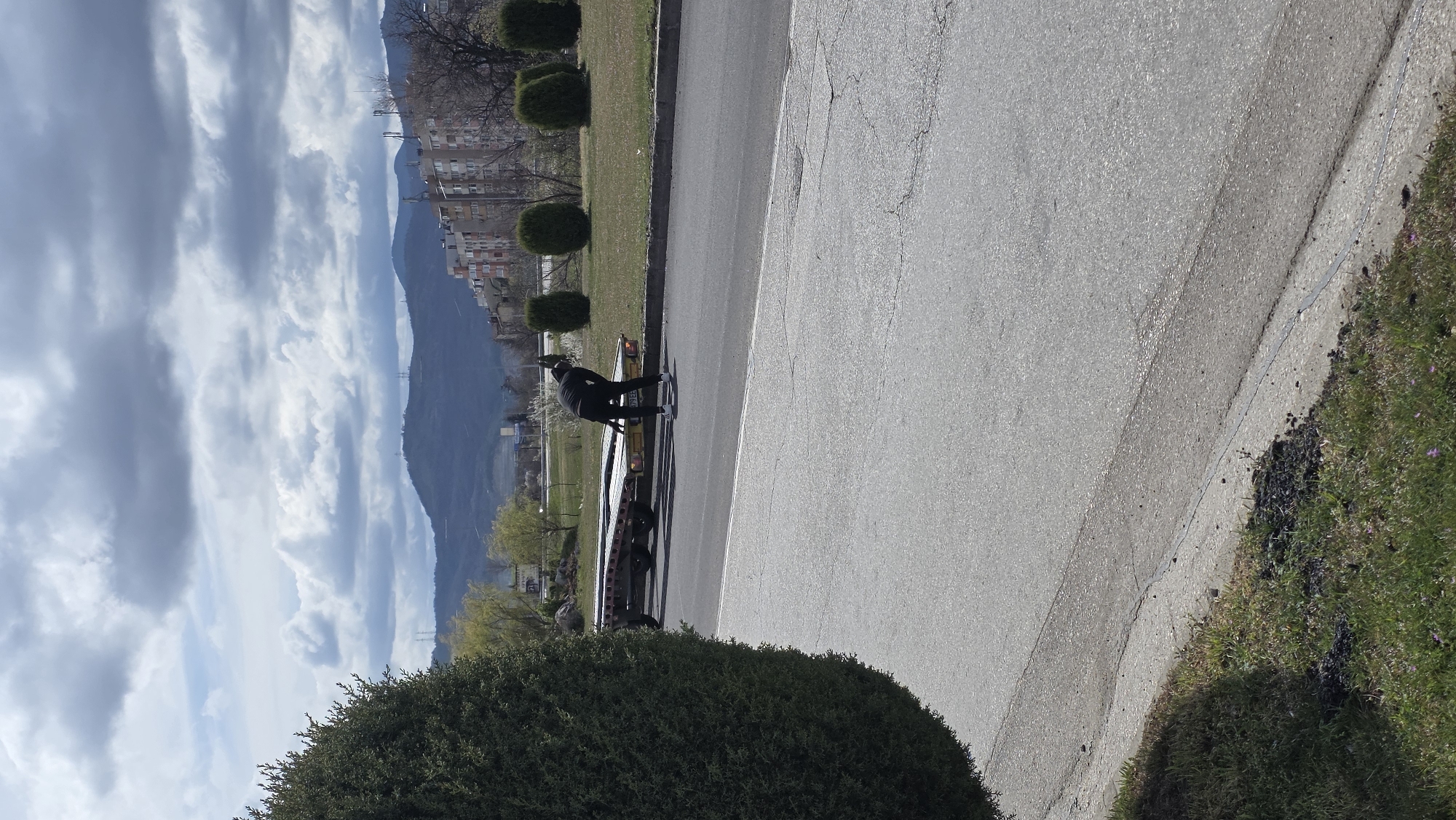 The image shows a street scene in Blagoevgrad, Bulgaria. The camera is positioned near the edge of the roadway, with a small, round shrub in the immediate foreground. A tow truck is stopped on the roadway. A person in dark clothing stands on the truck's flatbed, seemingly securing a load. In the background, a row of evenly spaced, round shrubs lines the roadside, separating the road from a grassy area. Buildings are visible further in the background, with mountains behind them. The sky is filled with clouds. The road is paved.