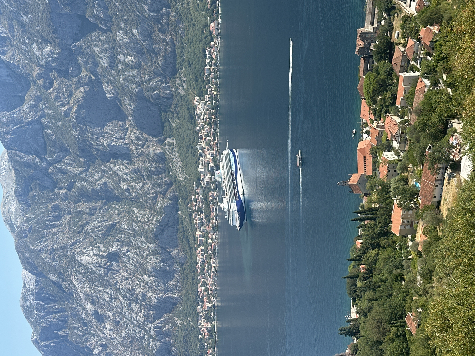 In a high-angle shot of the Bay of Kotor, a large cruise ship is docked in the deep blue water. The ship is white with a blue stripe along its side. In the distance, a town with red-tiled roofs sits nestled at the base of a lush green mountainside. The mountains themselves are steep and rocky, with sparse vegetation. In the foreground, the scene transitions to a closer view of a village. Buildings with orange and red roofs are scattered amongst dense green trees. A small, white boat with a wake trails behind it on the water, and another larger, older boat is visible near the shore. The sky is a clear, bright blue. This location is identified as Dobrota, Montenegro.
